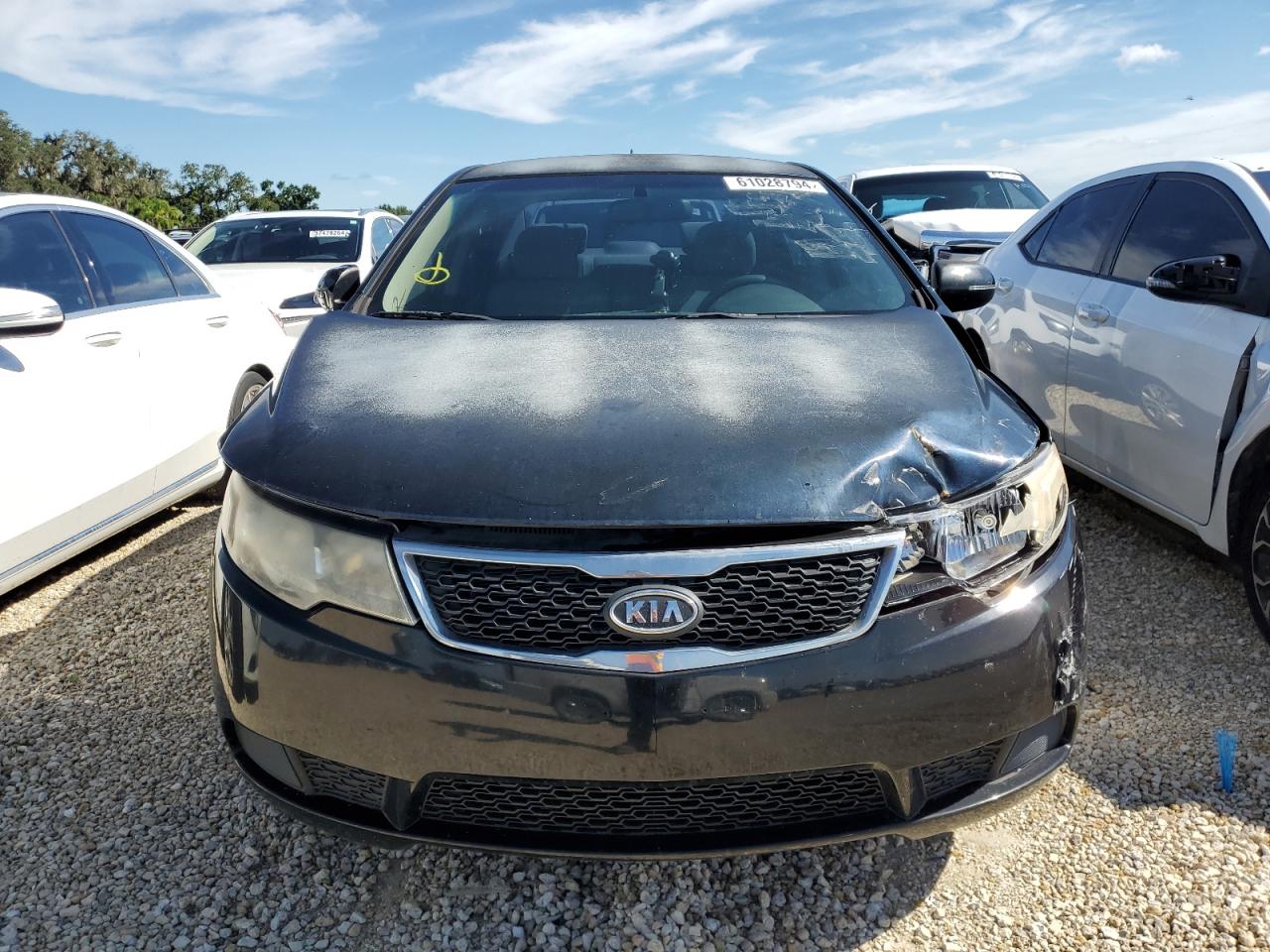 2012 Kia Forte Ex VIN: KNAFU4A2XC5509619 Lot: 61028794