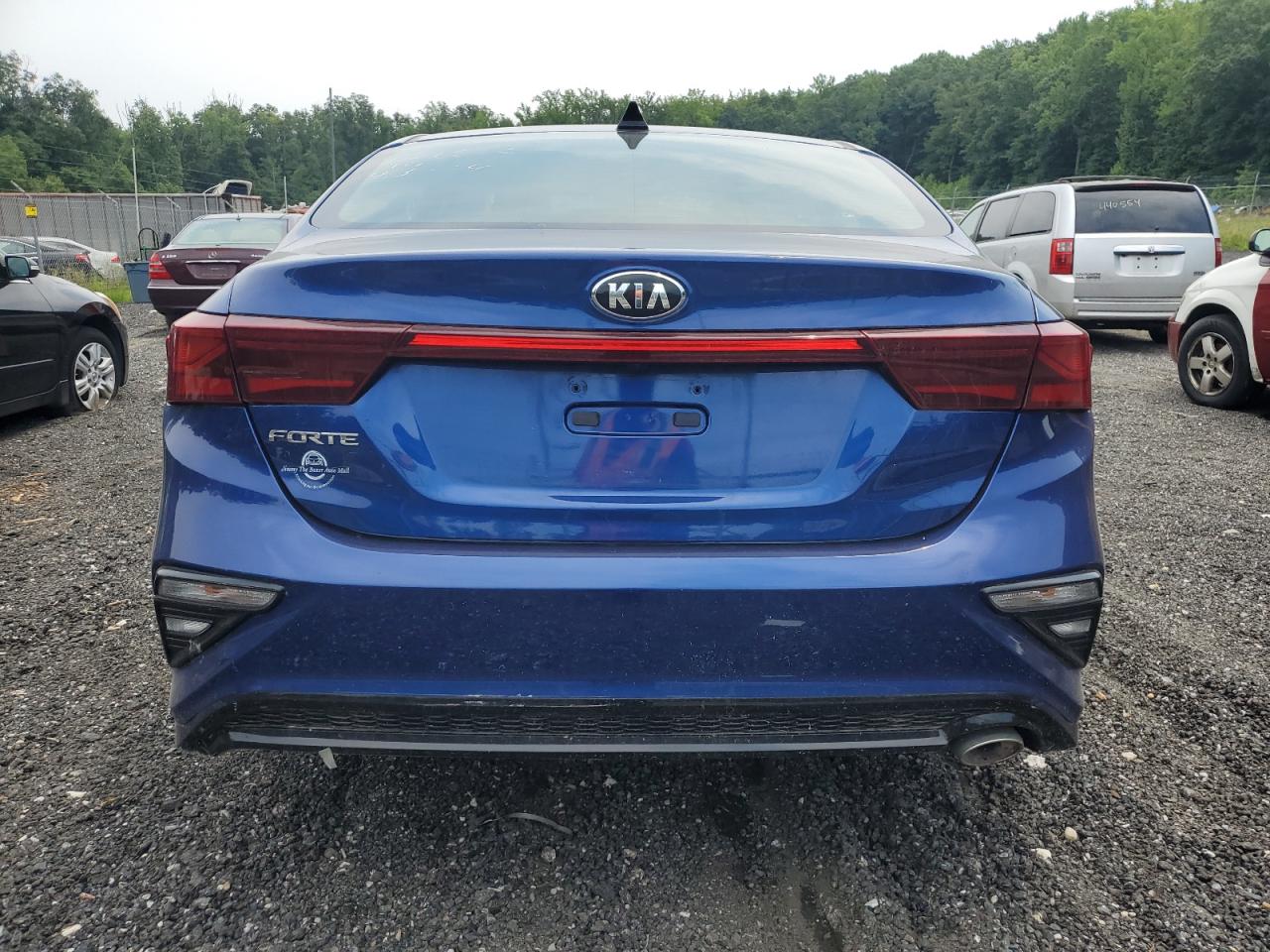 2020 Kia Forte Fe VIN: 3KPF24AD4LE148113 Lot: 64798954