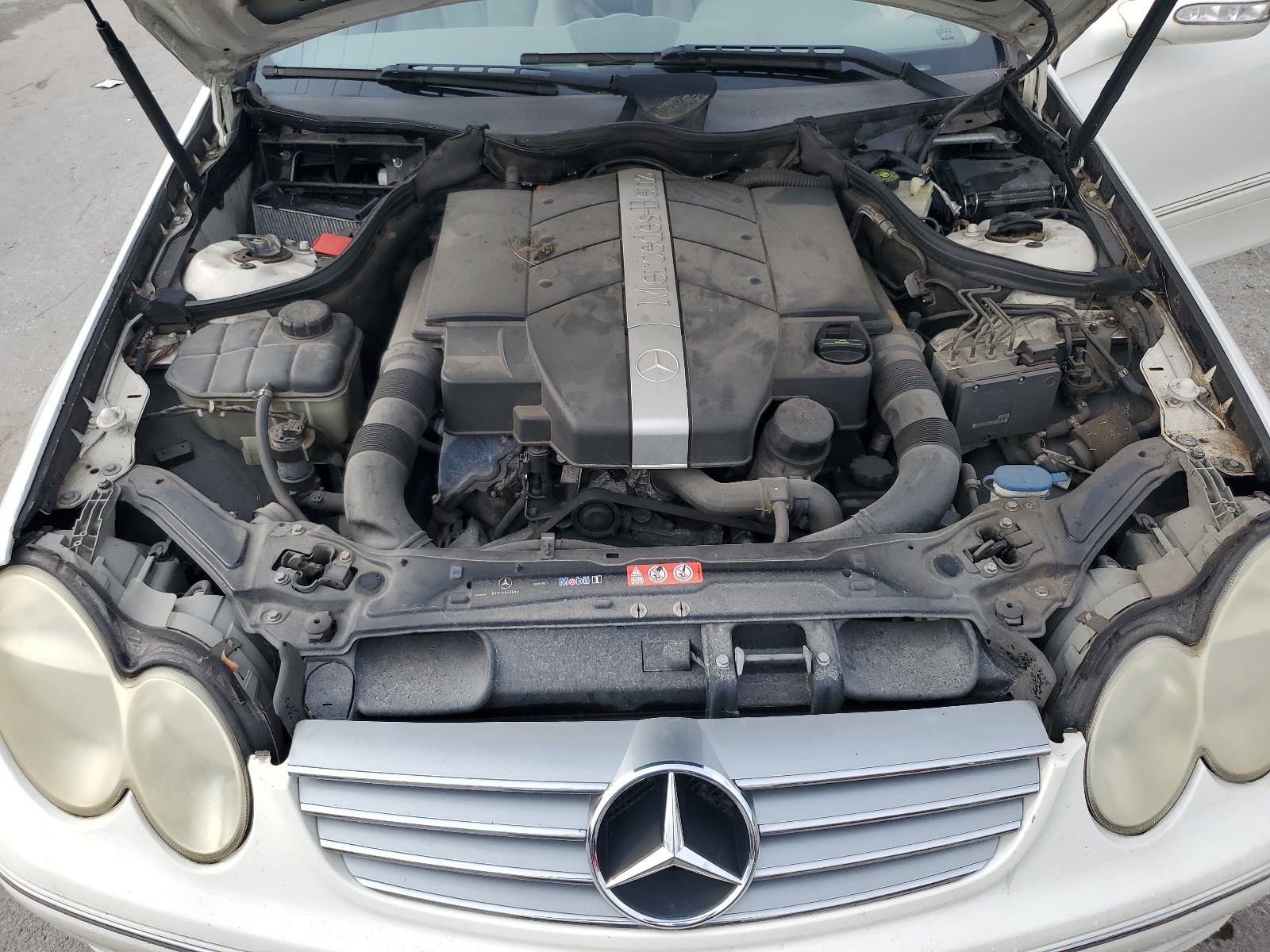 WDBTK65J85F151442 2005 Mercedes-Benz Clk 320