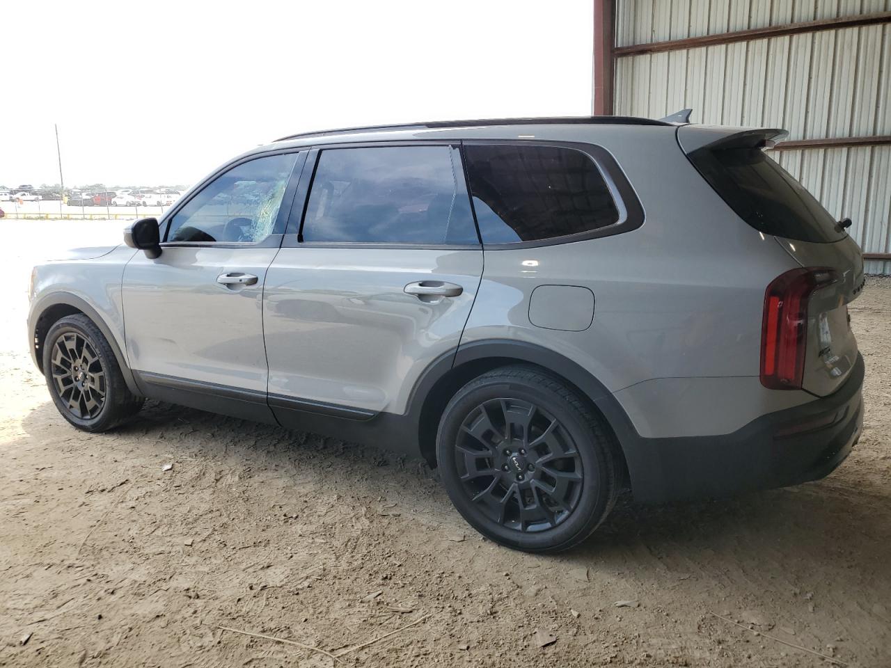 2022 Kia Telluride Ex VIN: 5XYP3DHC8NG252821 Lot: 64109754