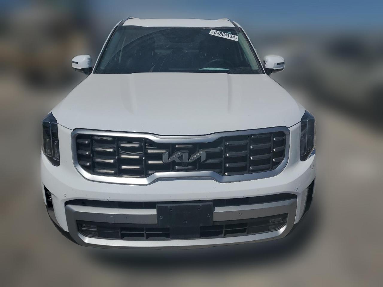 2023 Kia Telluride Sx VIN: 5XYP5DGC7PG409446 Lot: 64804134