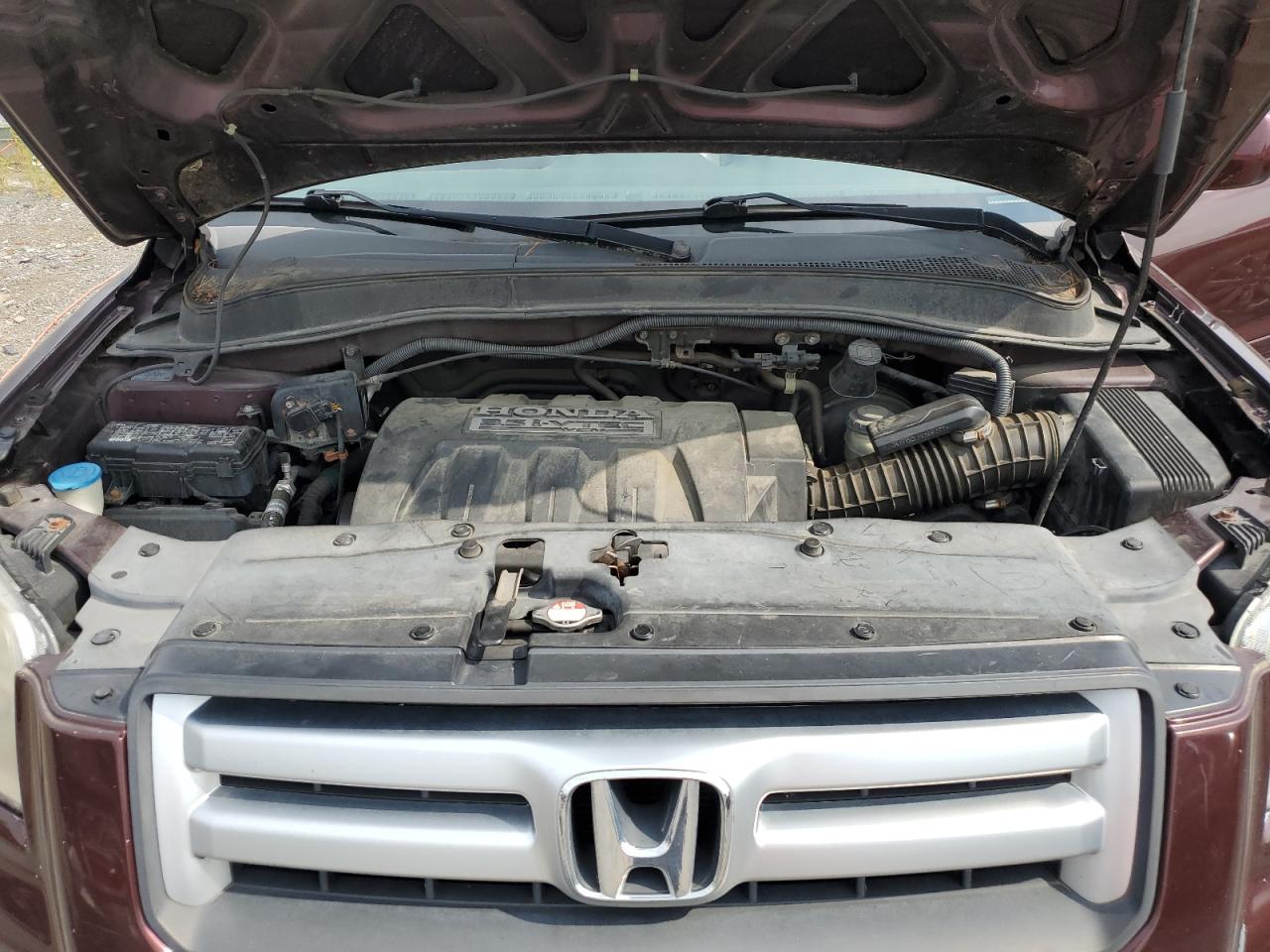 2007 Honda Pilot Exl VIN: 5FNYF28707B015866 Lot: 65181404