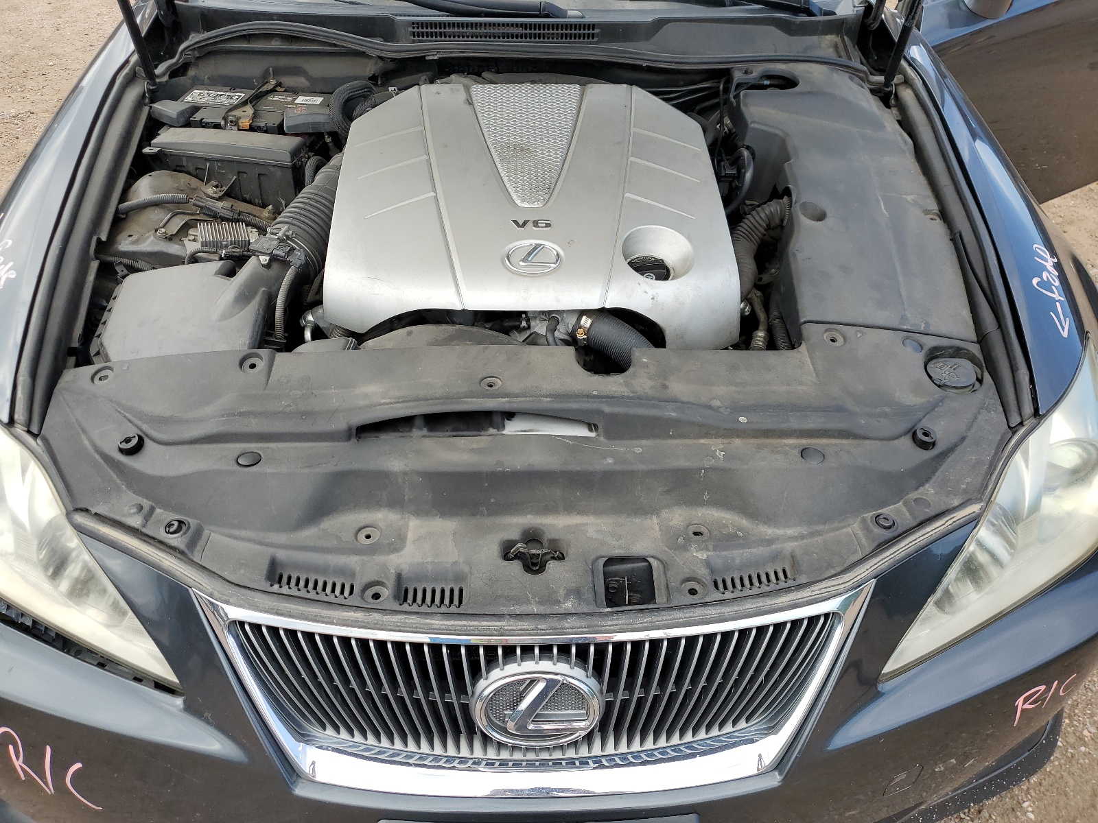 JTHBE262582015669 2008 Lexus Is 350