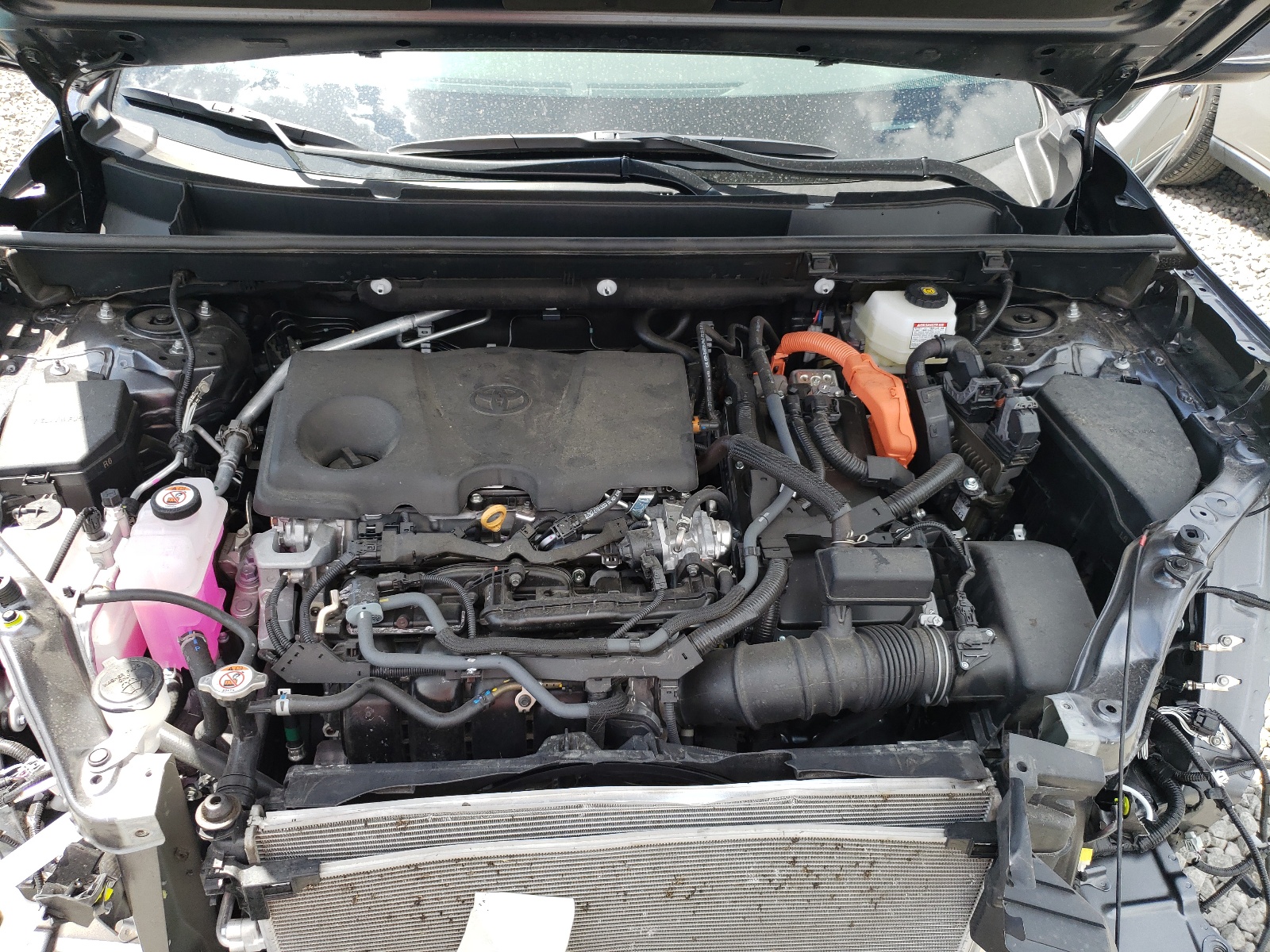 4T3RWRFV7RU127219 2024 Toyota Rav4 Xle