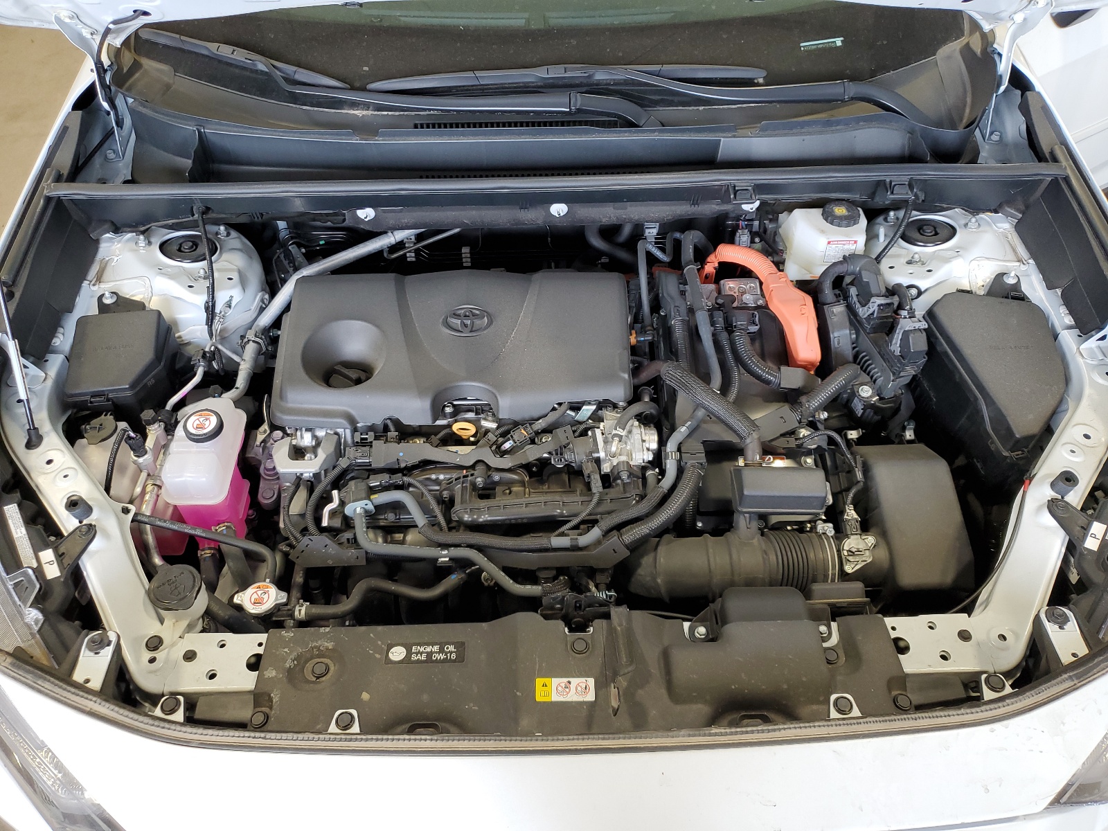 4T3T6RFV8PU121545 2023 Toyota Rav4 Se