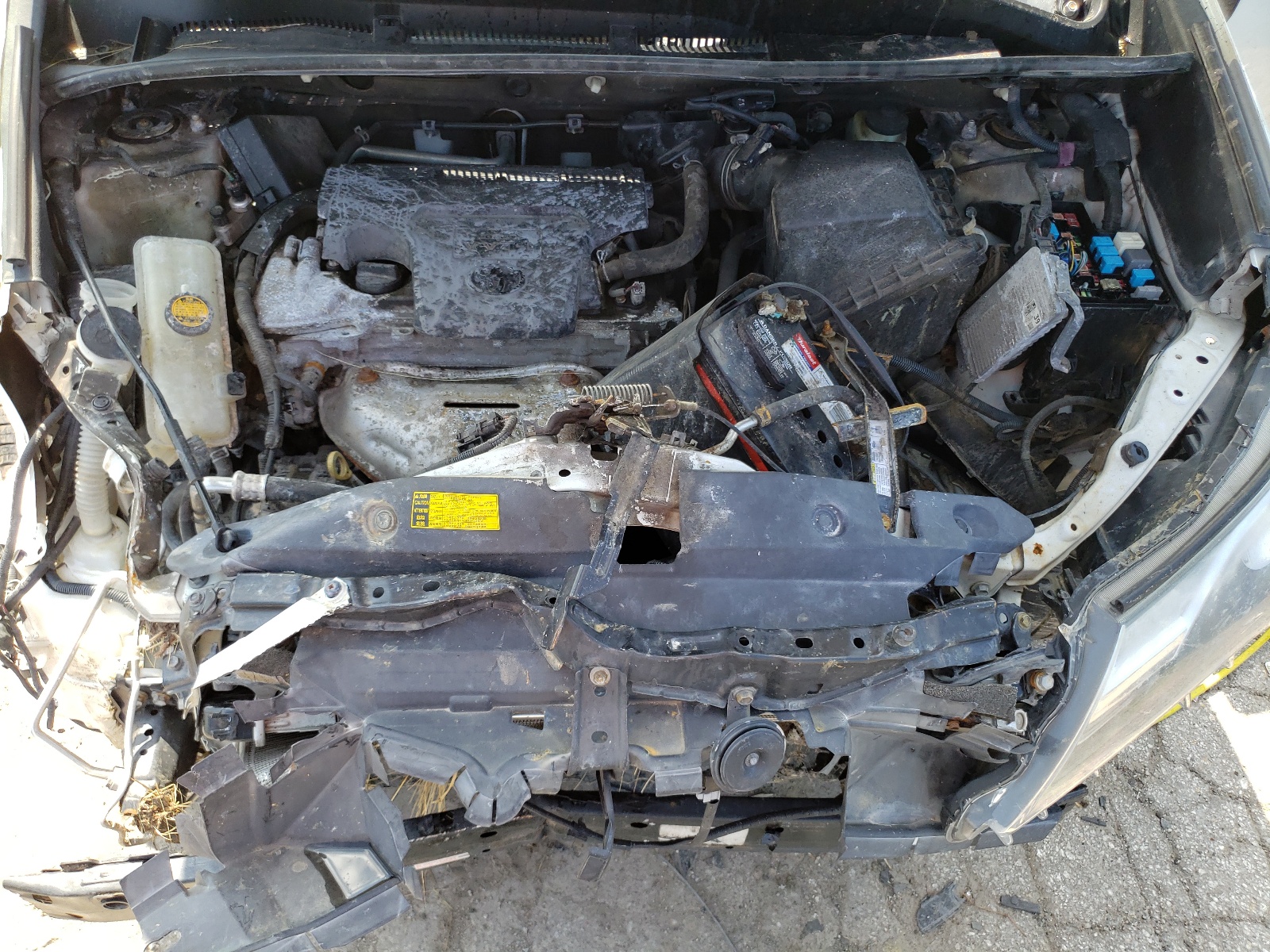 2T3DFREV8EW160557 2014 Toyota Rav4 Limited