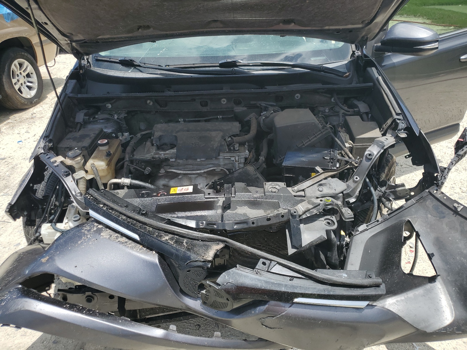 JTMWFREV2GJ098664 2016 Toyota Rav4 Xle