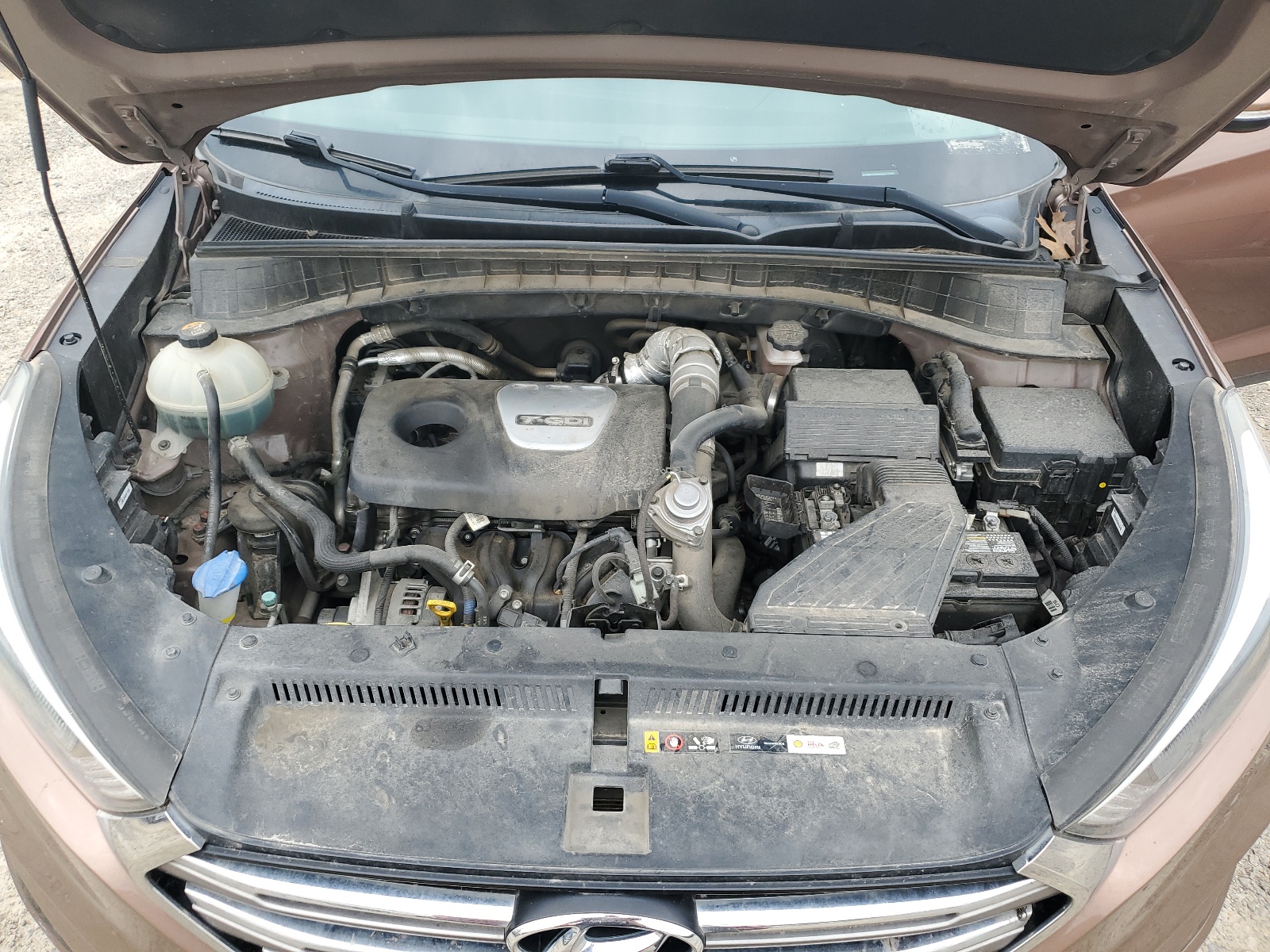 KM8J33A26GU221548 2016 Hyundai Tucson Limited