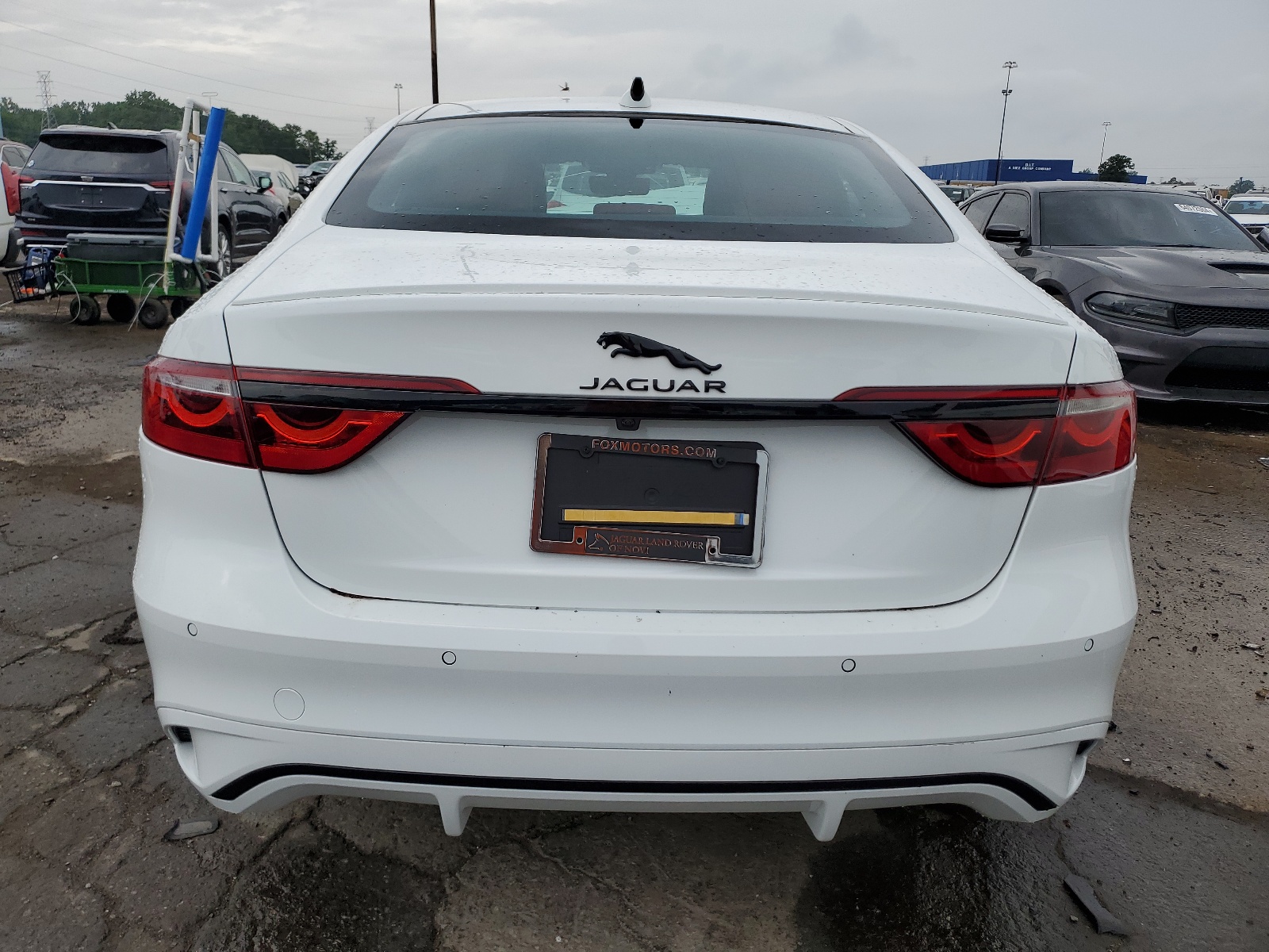 SAJBL4GX8RCY95695 2024 Jaguar Xf R-Dynamic Se