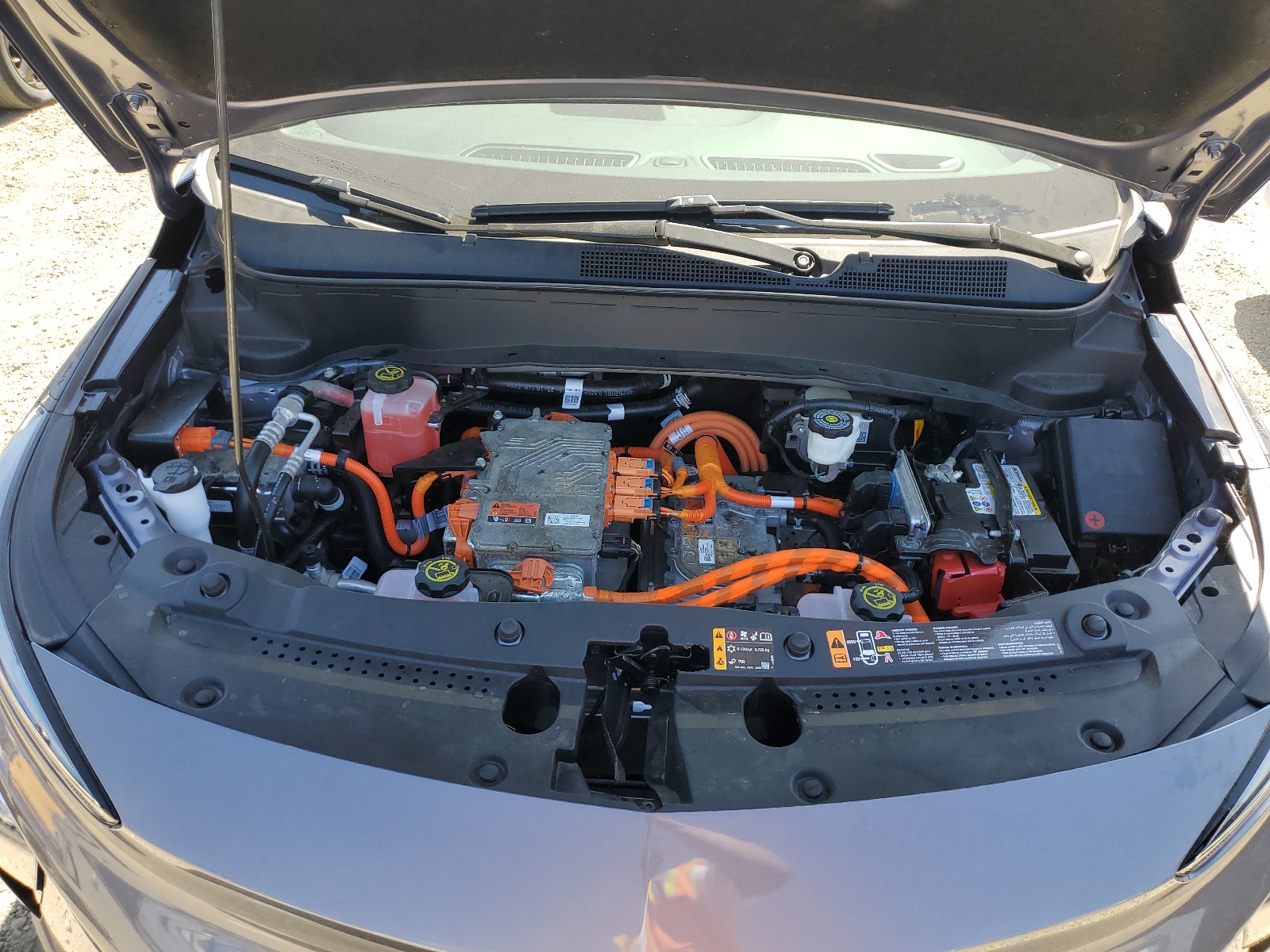 1G1FY6S07P4155661 2023 Chevrolet Bolt Euv Lt