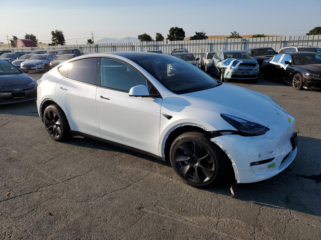 2023 Tesla Model Y VIN: 7SAYGDEE0PF715269 Lot: 62473294