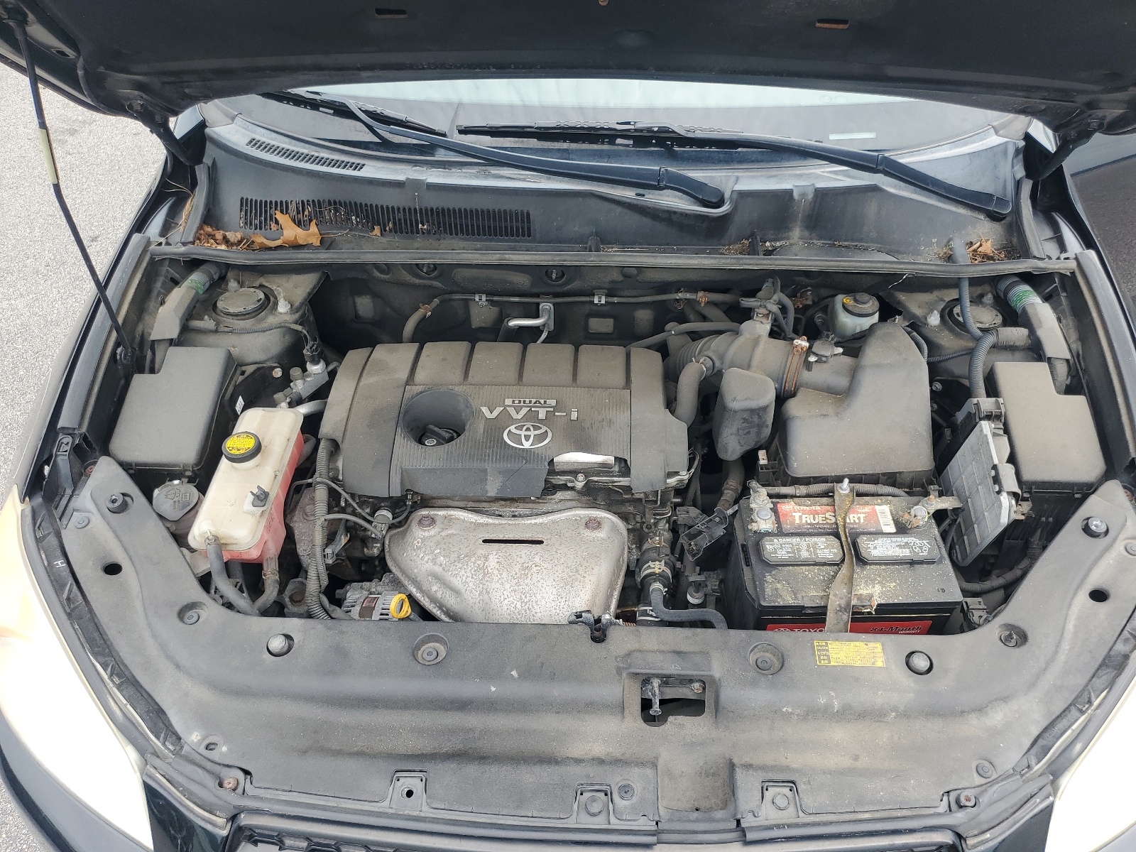 JTMBF35V495010124 2009 Toyota Rav4