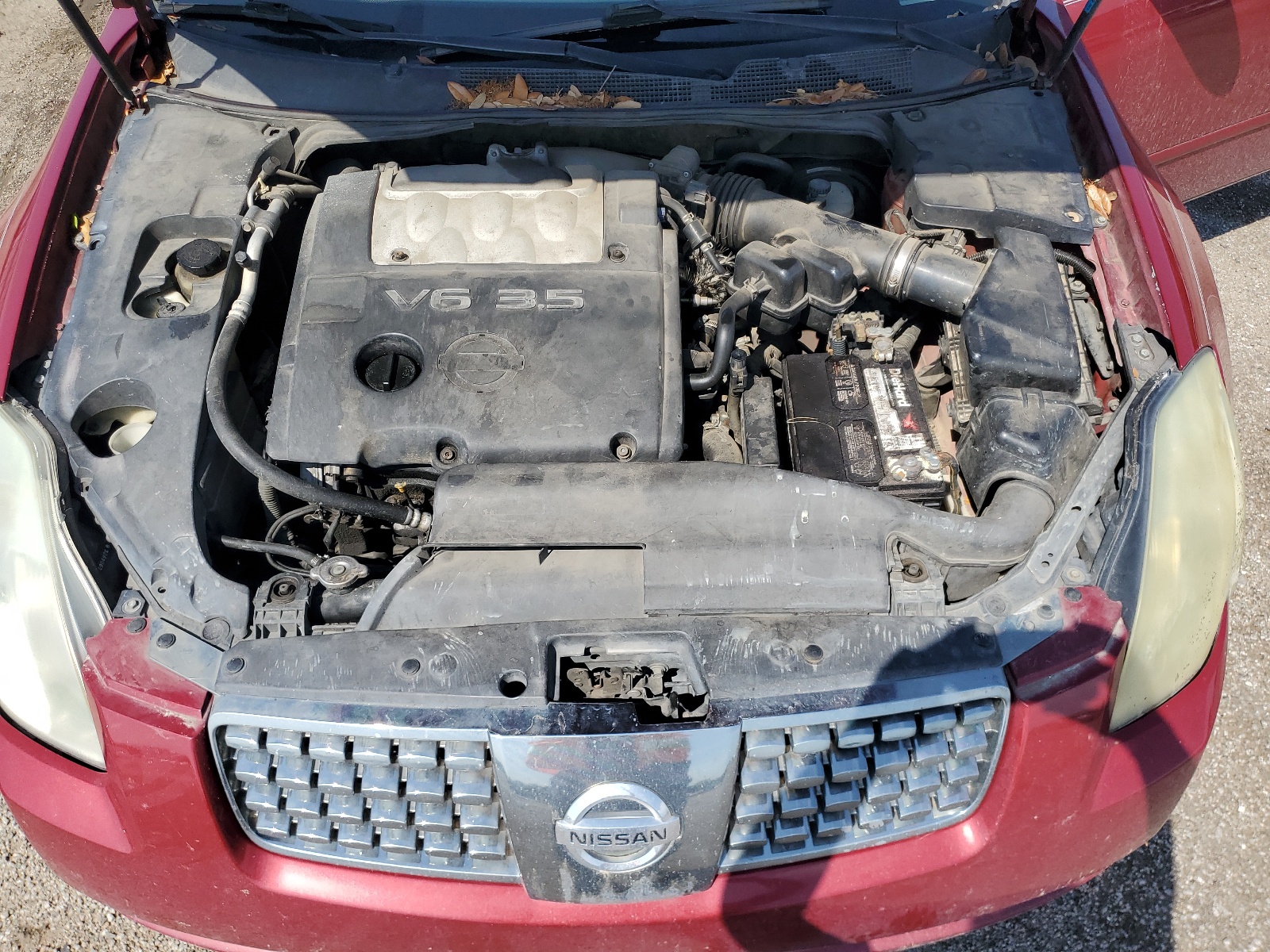 1N4BA41E56C816867 2006 Nissan Maxima Se