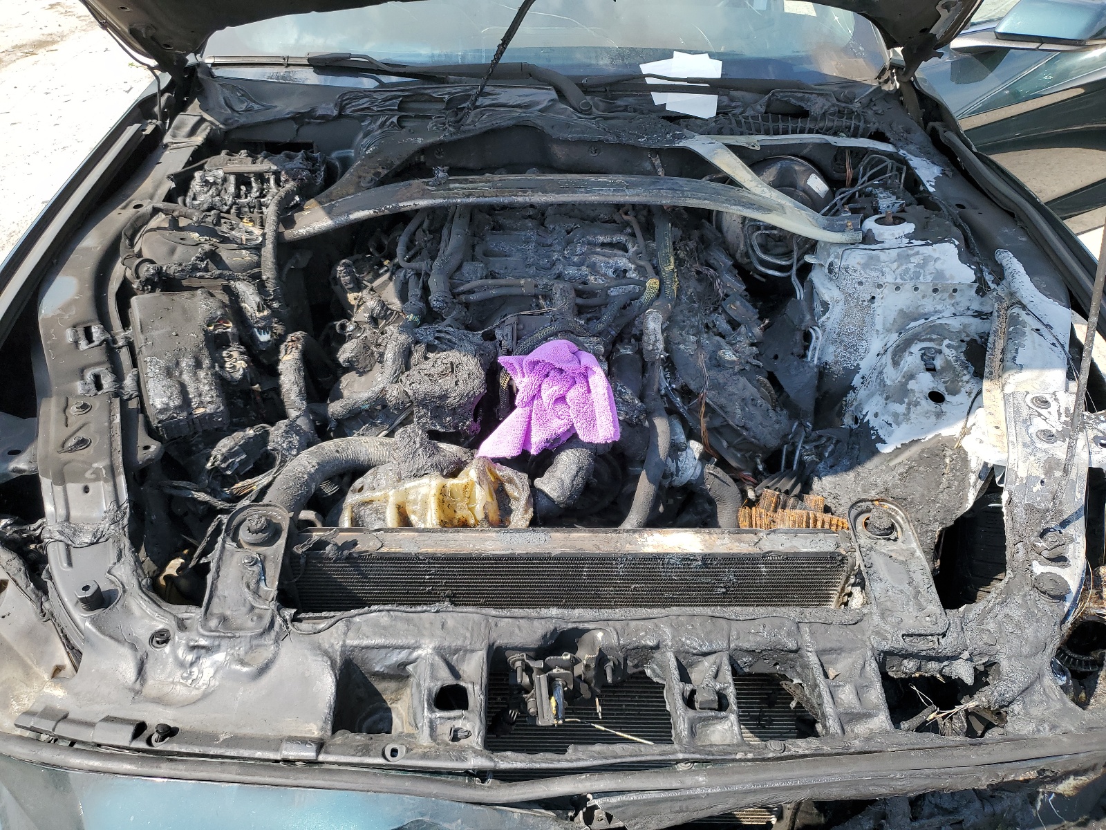 1FA6P8K07K5500847 2019 Ford Mustang Bullitt