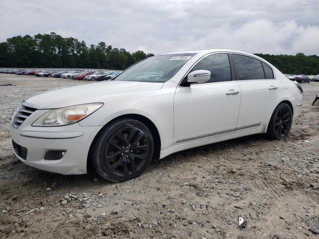 2011 Hyundai Genesis 4.6L VIN: KMHGC4DF1BU126449 Lot: 64176944