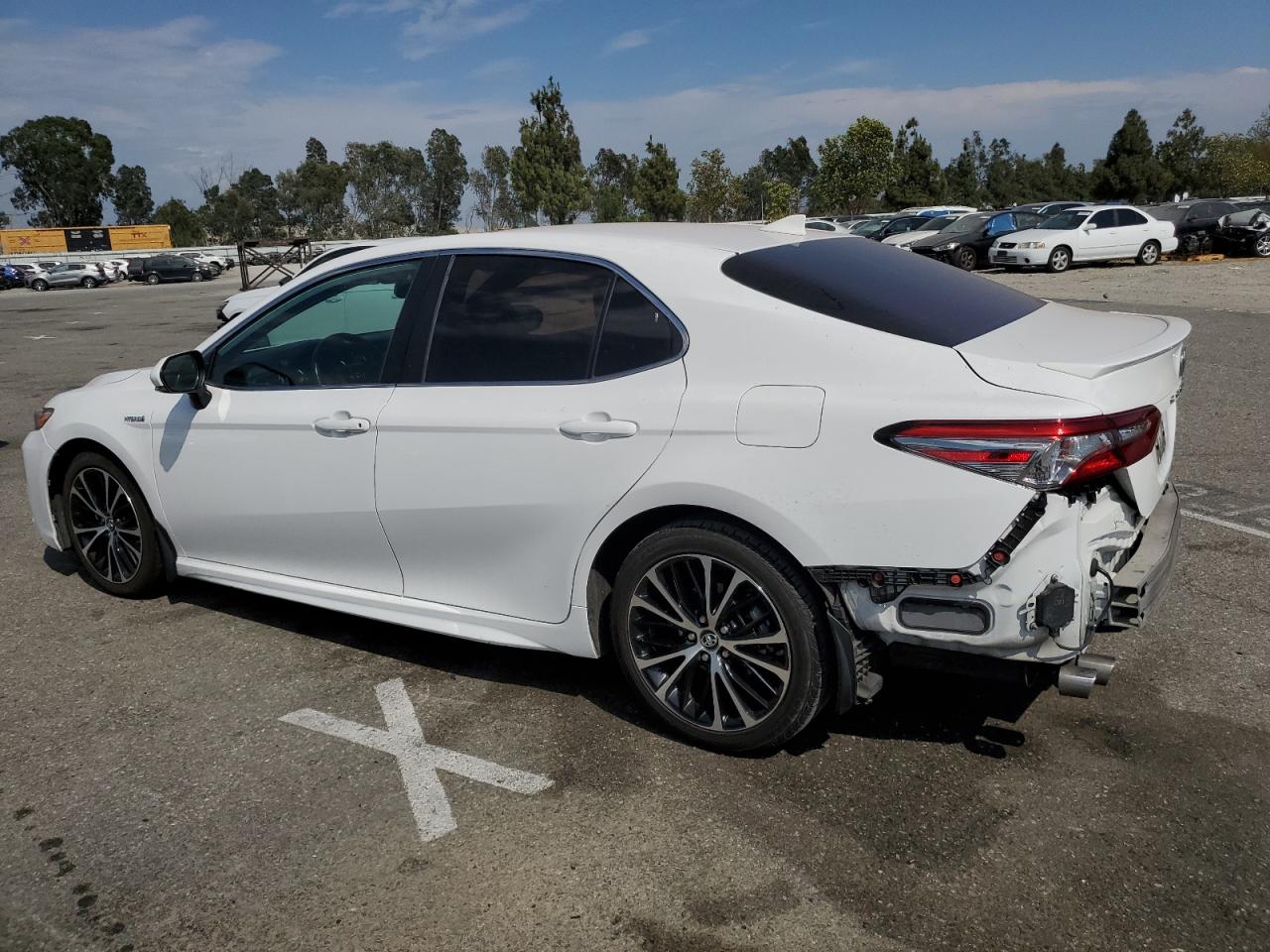 4T1B21HK1KU011224 2019 TOYOTA CAMRY - Image 2