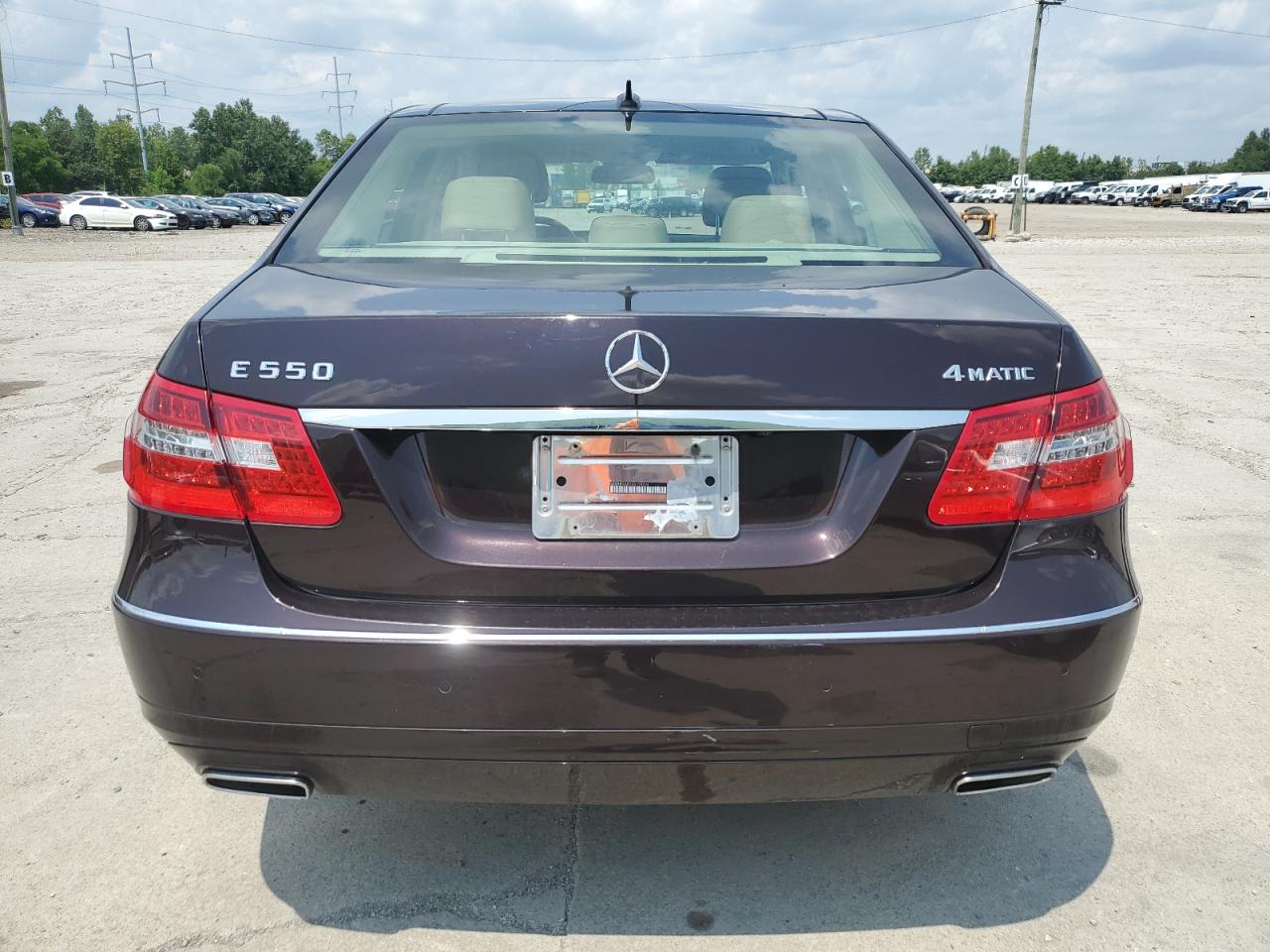 2010 Mercedes-Benz E 550 4Matic VIN: WDDHF9AB7AA128226 Lot: 64253344