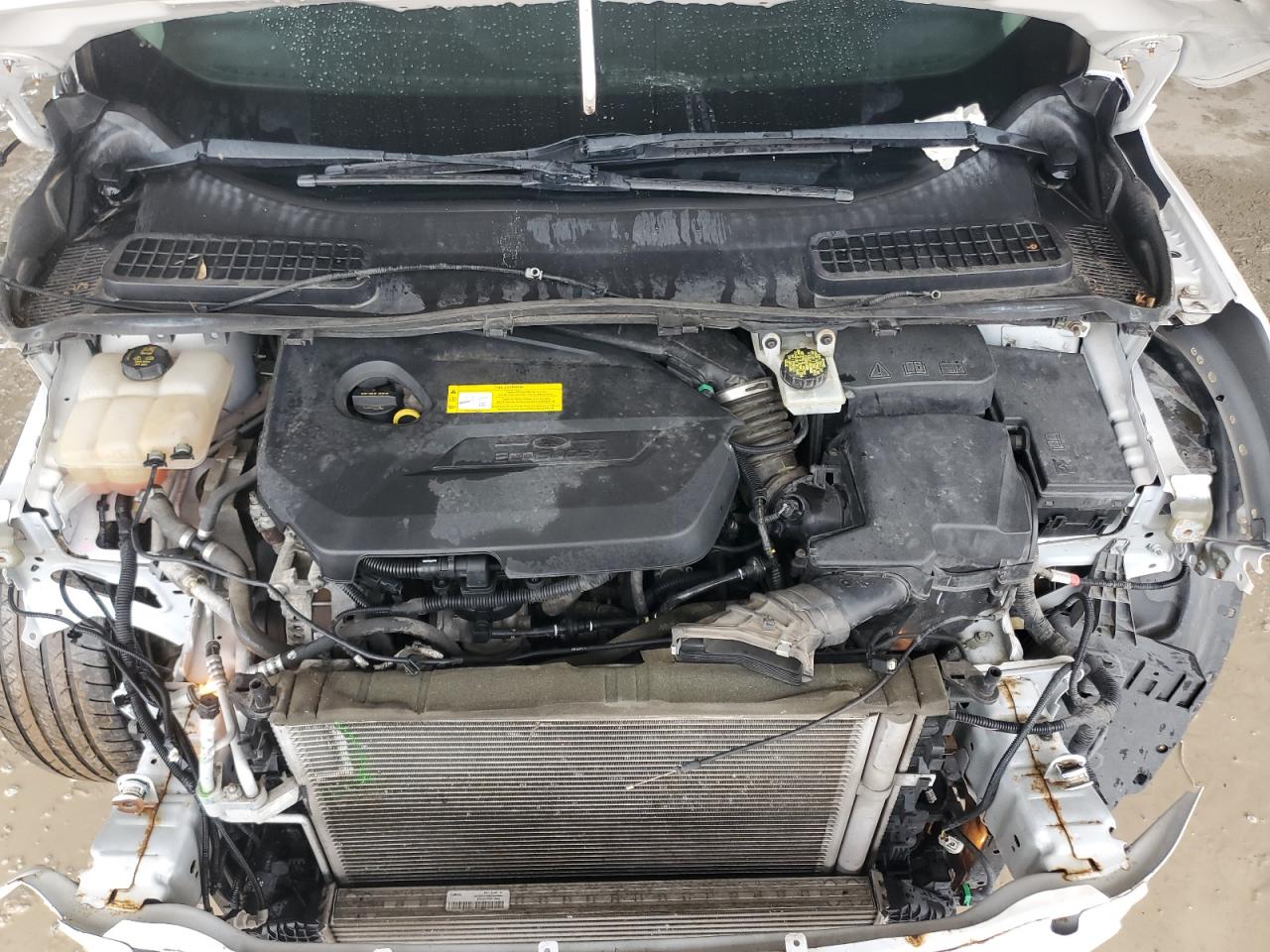 2016 Ford Escape Se VIN: 1FMCU0GX1GUB36592 Lot: 64219874