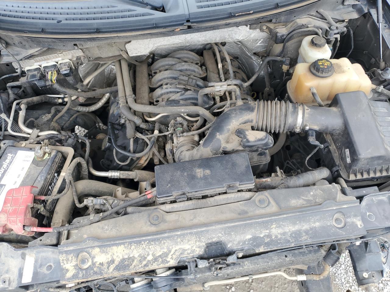 2012 Ford F150 Supercrew VIN: 1FTFW1EF4CKE28769 Lot: 62228214