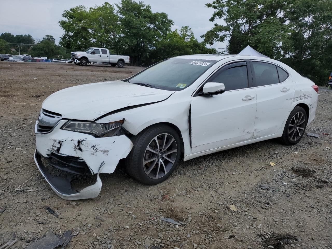 2015 Acura Tlx Tech VIN: 19UUB2F5XFA017516 Lot: 63029034