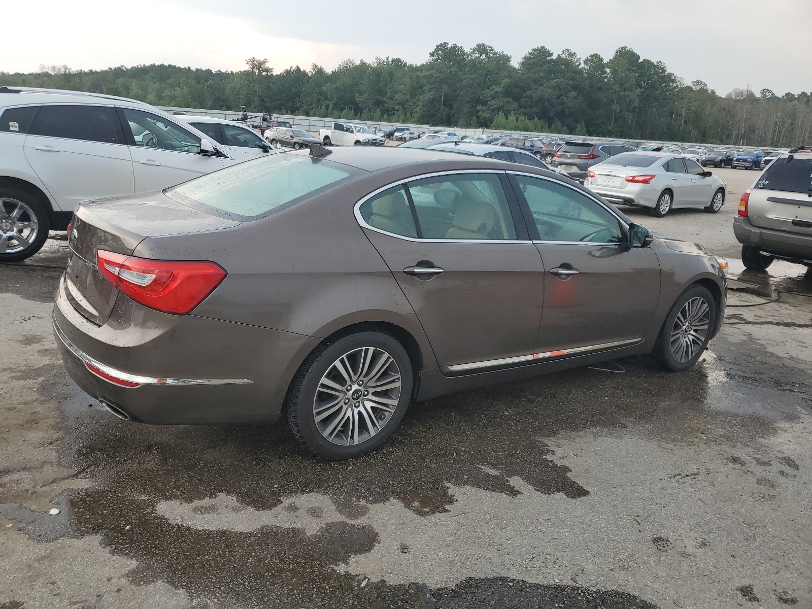KNALN4D70E5144653 2014 Kia Cadenza Premium