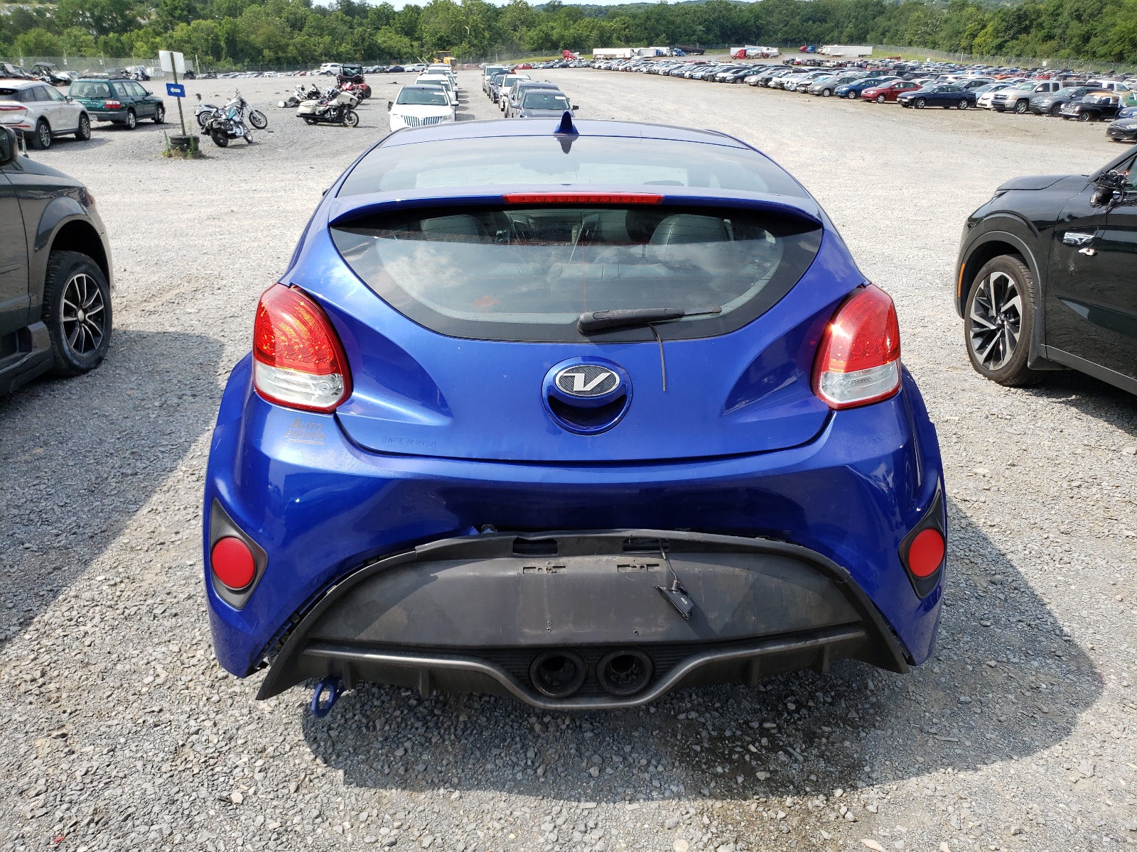 KMHTC6AE7DU135259 2013 Hyundai Veloster Turbo