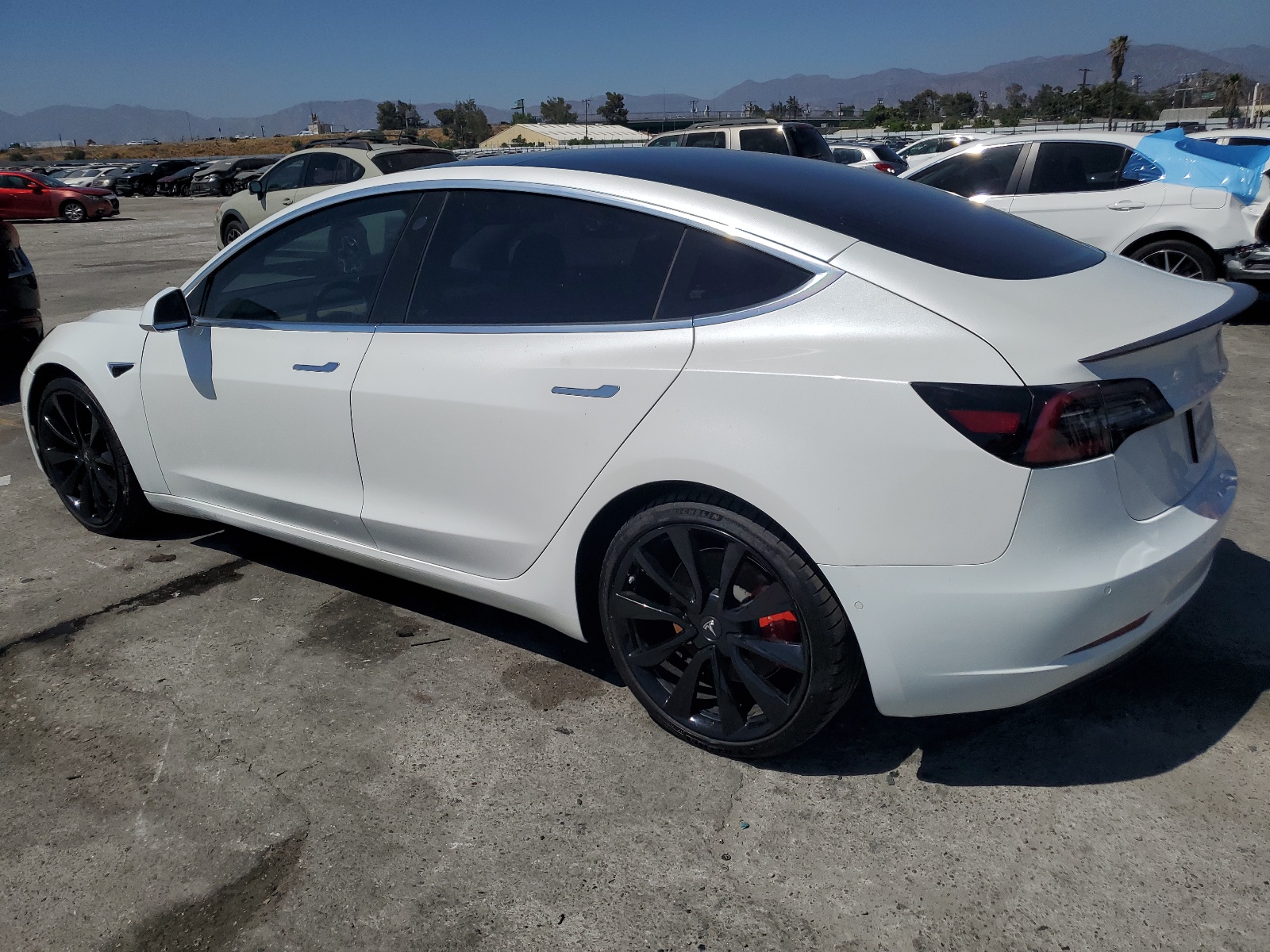 2019 Tesla Model 3 vin: 5YJ3E1EB0KF237865