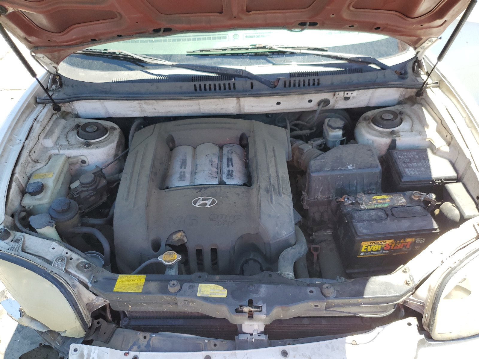 KM8SC13D42U234234 2002 Hyundai Santa Fe Gls