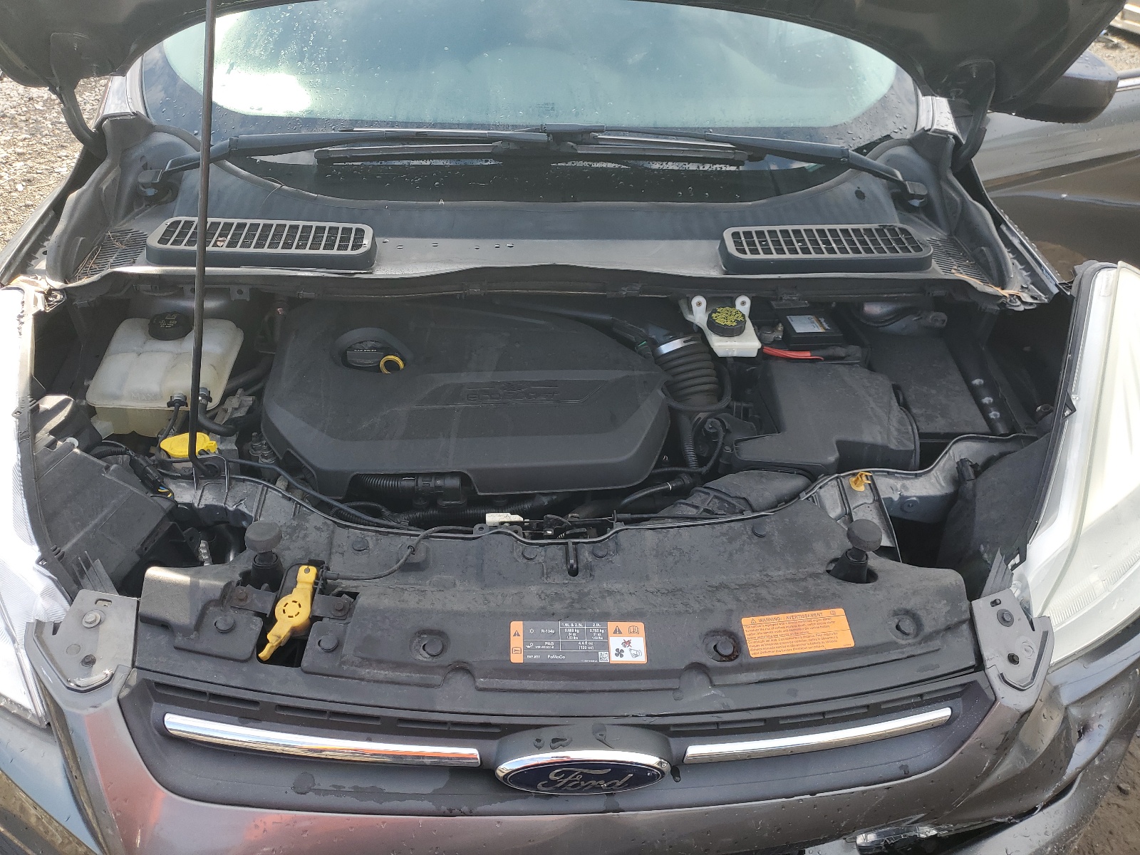 1FMCU0GX8EUD41324 2014 Ford Escape Se