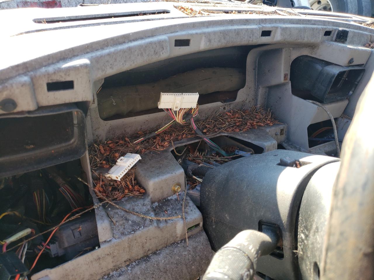 1999 Ford F350 Srw Super Duty VIN: 1FTSW31FXXED19902 Lot: 62443534