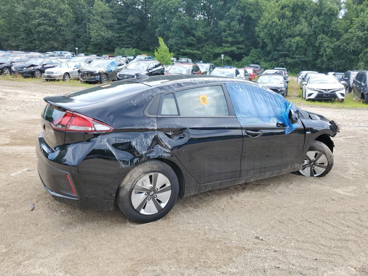 2019 Hyundai Ioniq Blue VIN: KMHC65LC9KU166667 Lot: 63190824