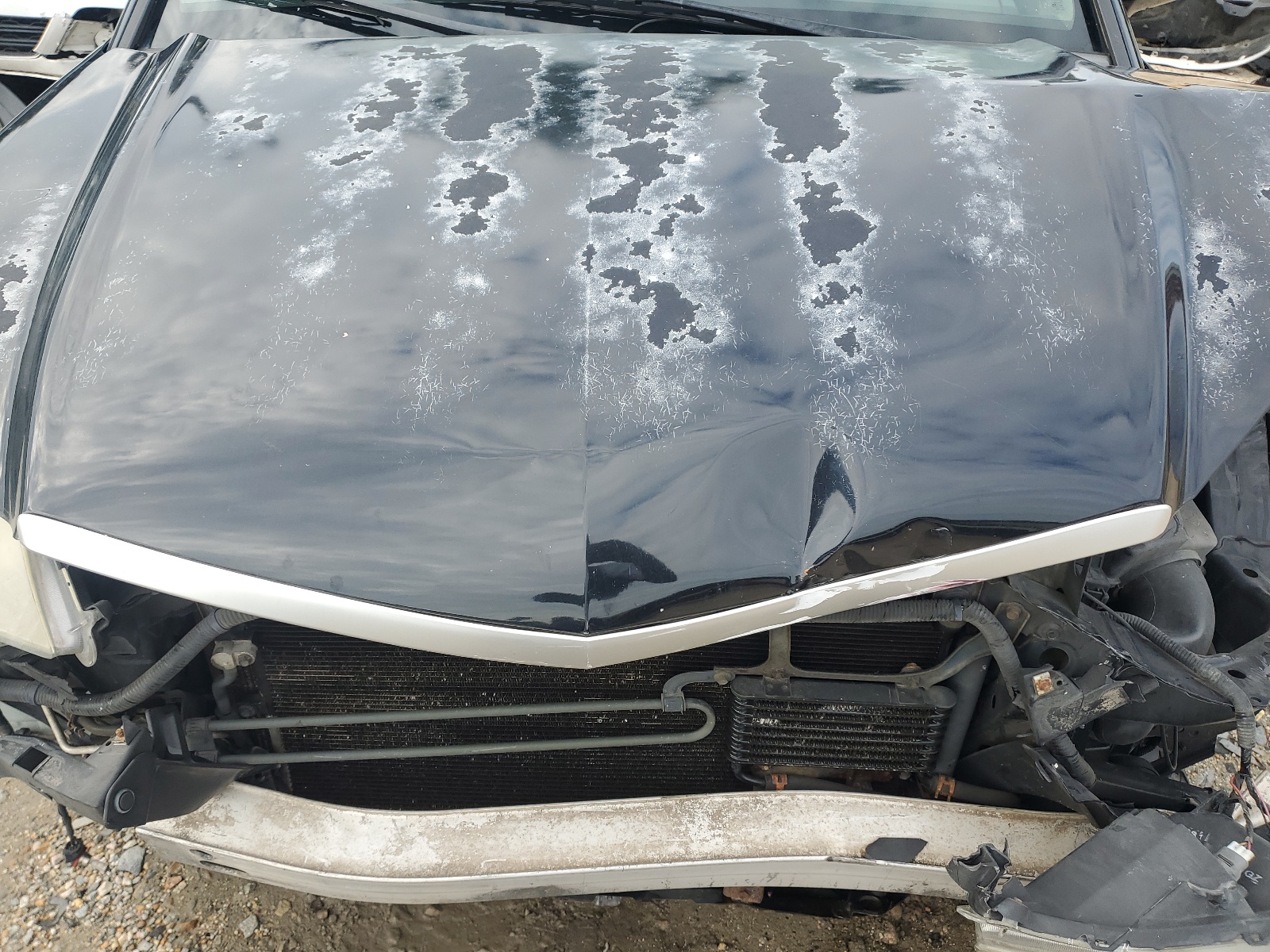 5J8TB18517A016999 2007 Acura Rdx Technology