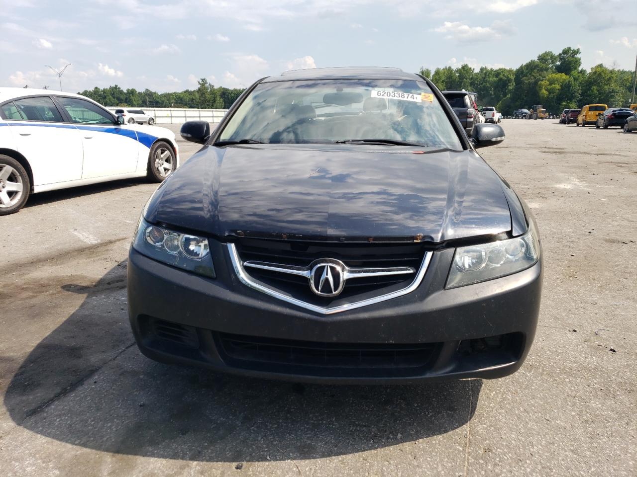 2004 Acura Tsx VIN: JH4CL95804C020484 Lot: 62033874