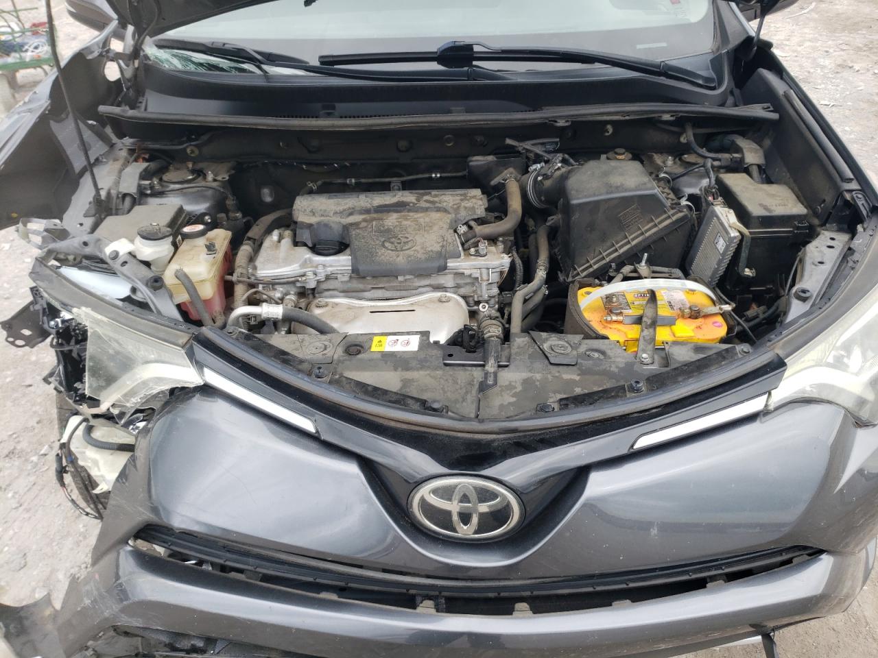 2017 Toyota Rav4 Xle VIN: JTMRFREV7HD203115 Lot: 64523684