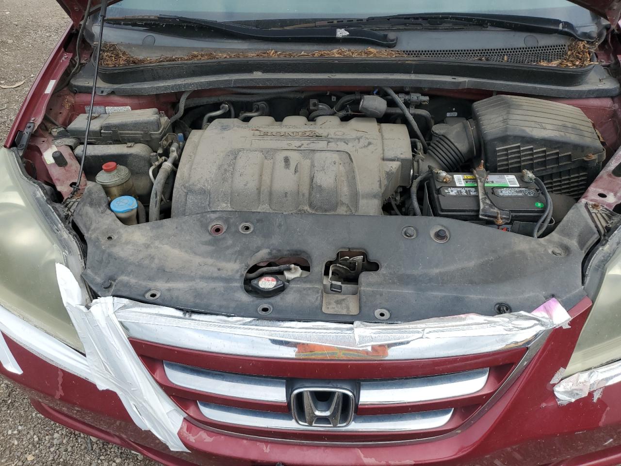 2005 Honda Odyssey Lx VIN: 5FNRL382X5B084164 Lot: 64815894