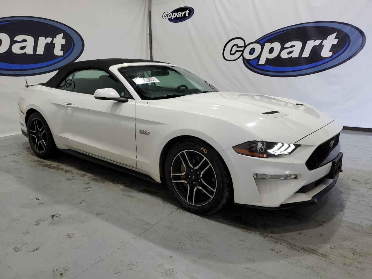 2019 Ford Mustang Gt VIN: 1FATP8FF6K5126037 Lot: 62530634