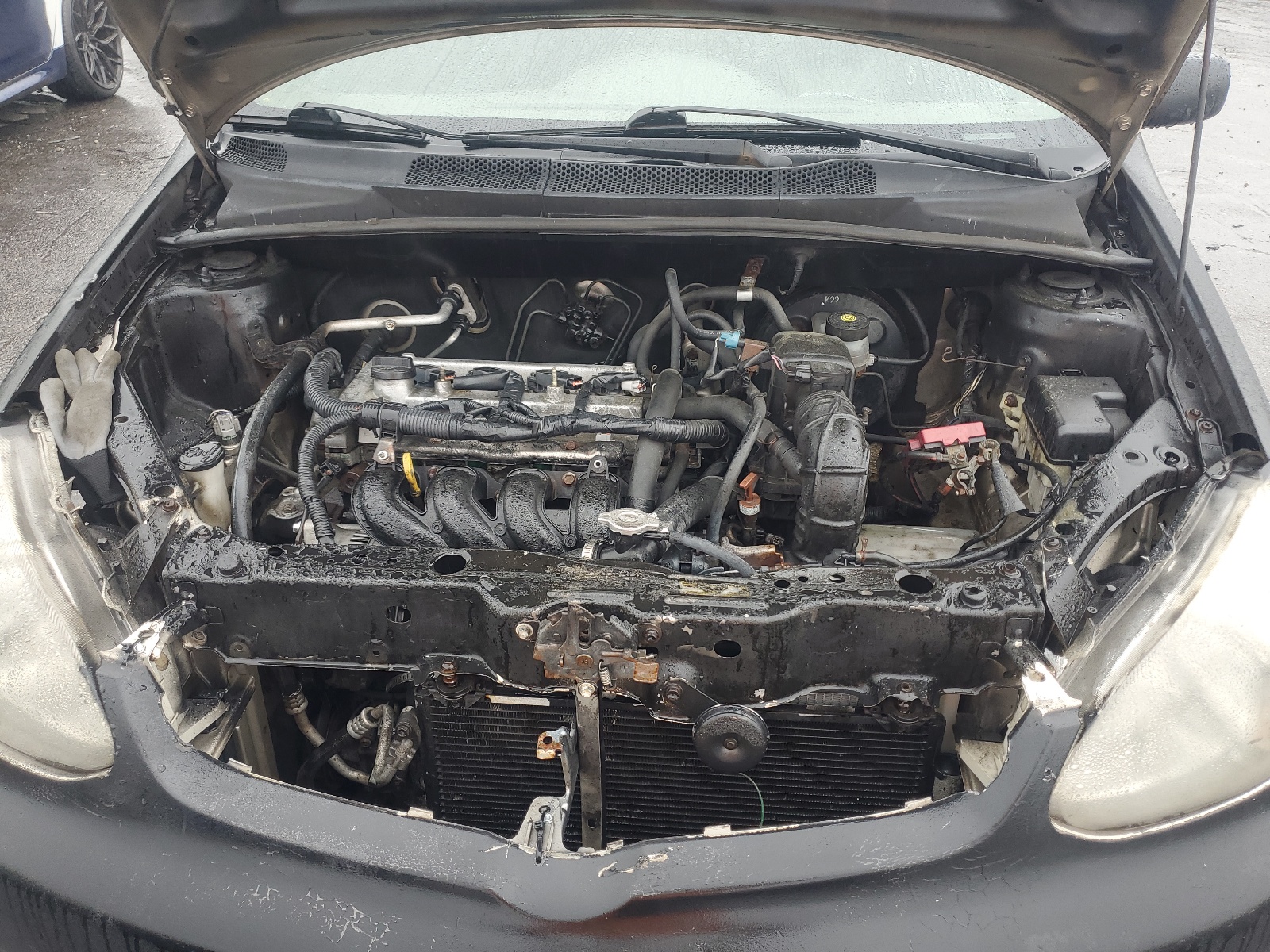 JTDBT123530311621 2003 Toyota Echo