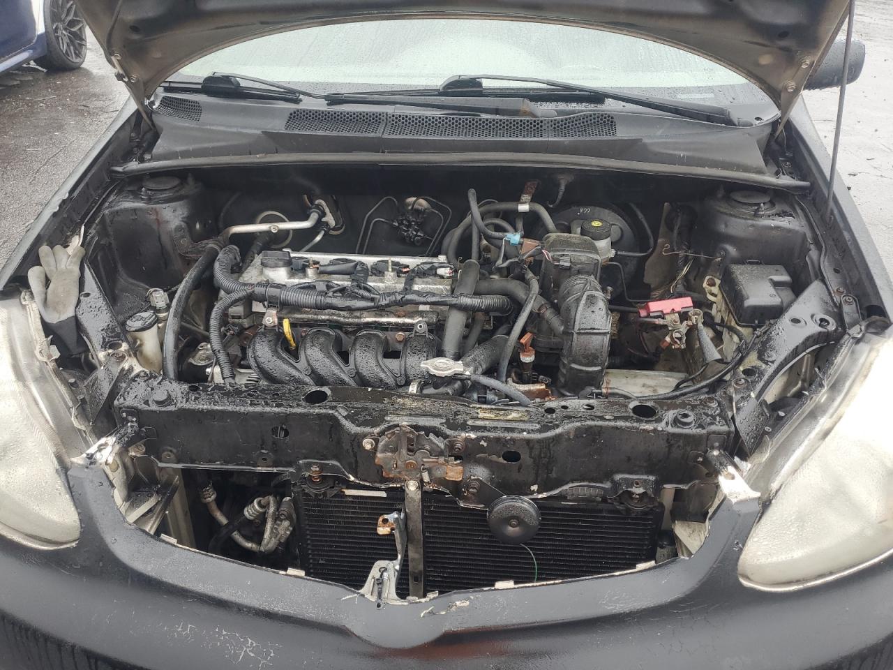 2003 Toyota Echo VIN: JTDBT123530311621 Lot: 61989884