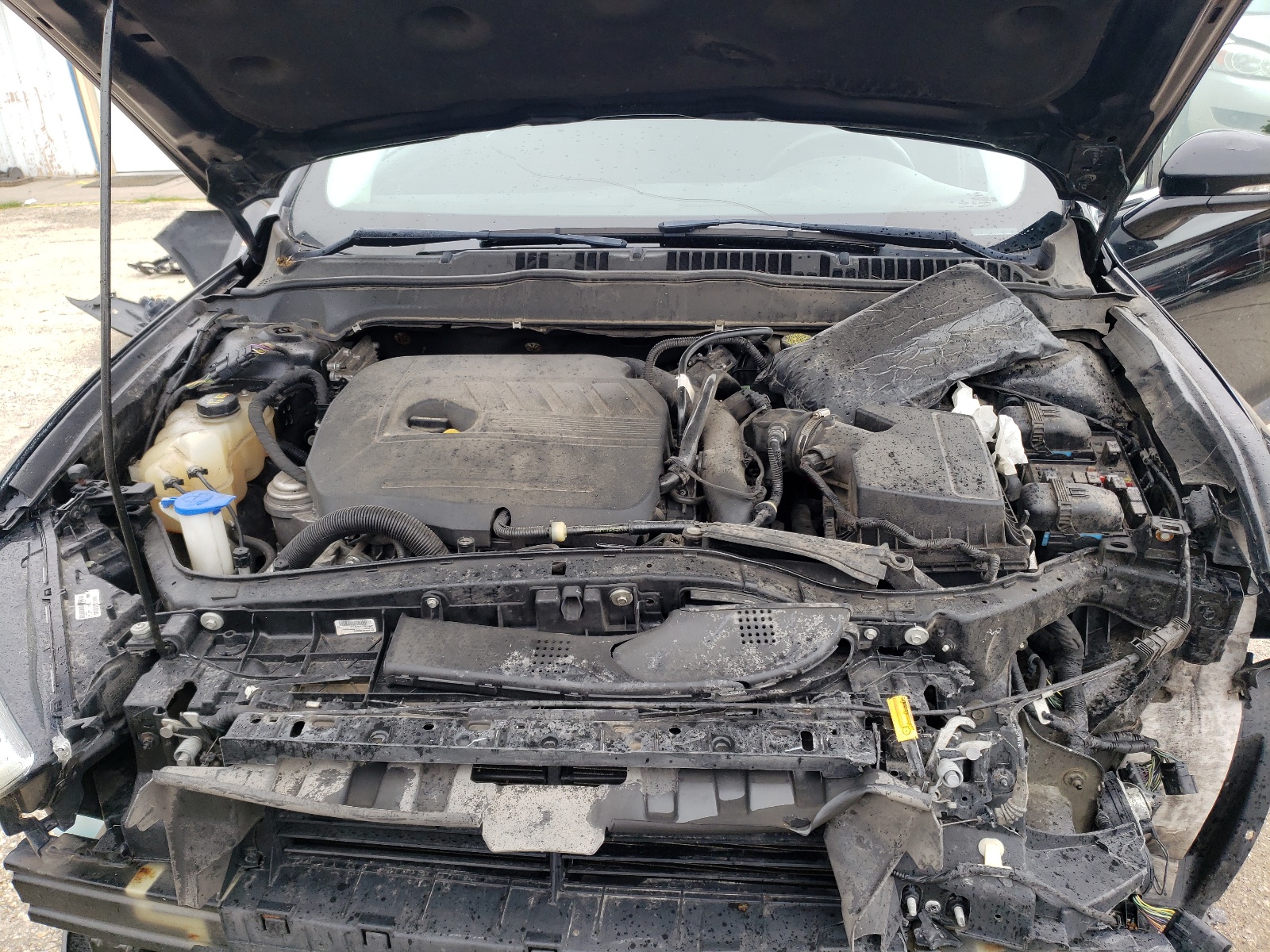 3FA6P0HD8GR319885 2016 Ford Fusion Se