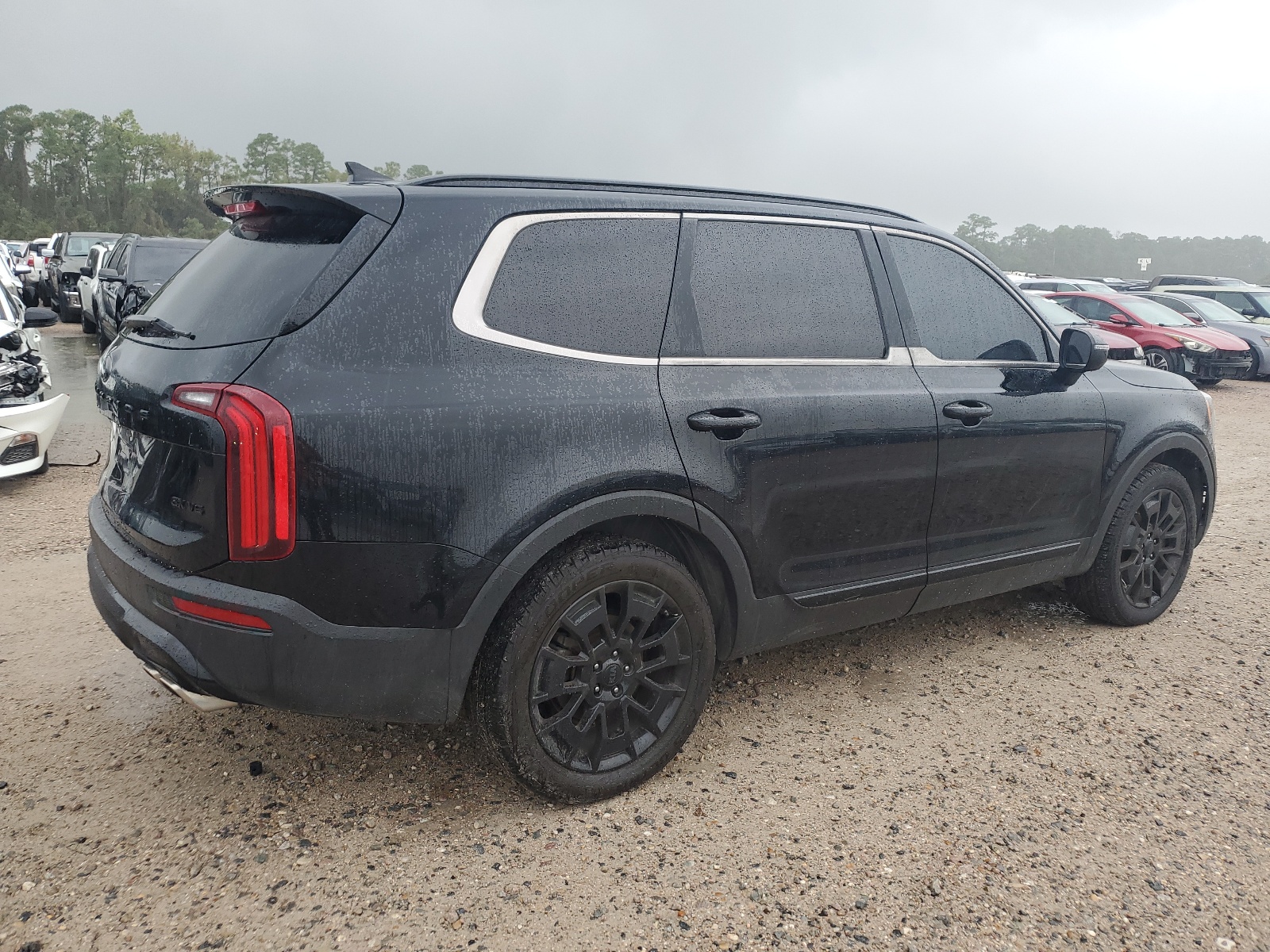 2021 Kia Telluride Ex vin: 5XYP3DHC1MG142224