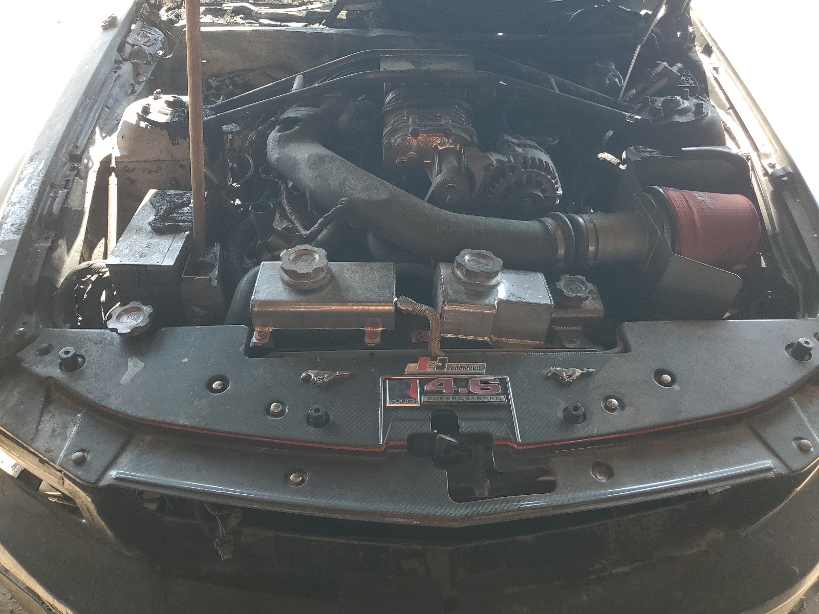 1ZVHT85HX85140866 2008 Ford Mustang Gt