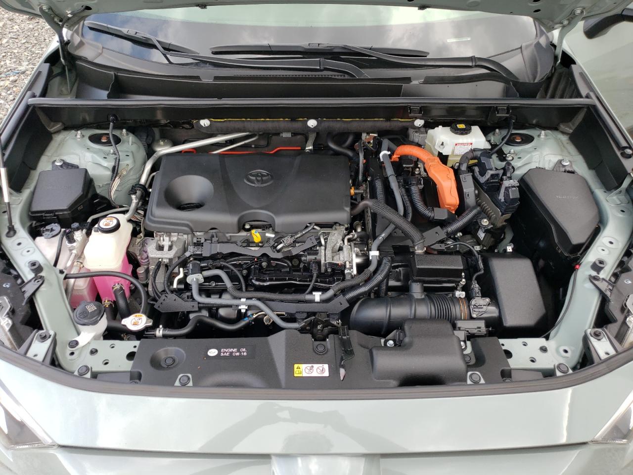 2019 Toyota Rav4 Xle VIN: JTMRWRFV5KJ018066 Lot: 62991914