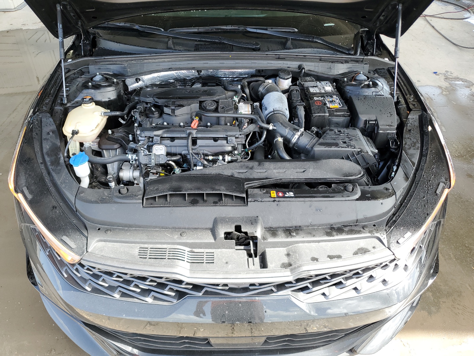 5XXG64J20RG244070 2024 Kia K5 Gt Line