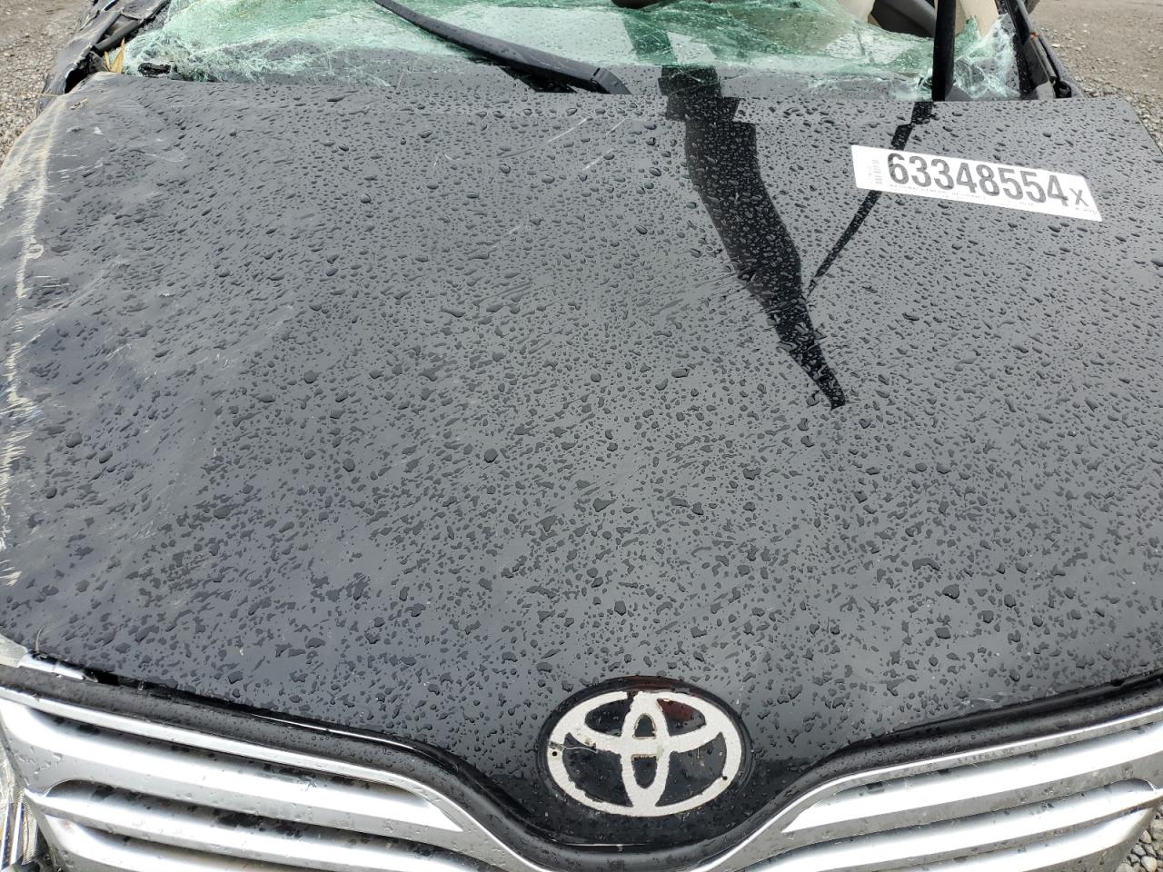 2009 Toyota Venza VIN: 4T3BK11A79U007228 Lot: 63348554