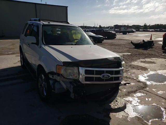 2010 Ford Escape Limited VIN: 1FMCU0EG8AKB08553 Lot: 63029794