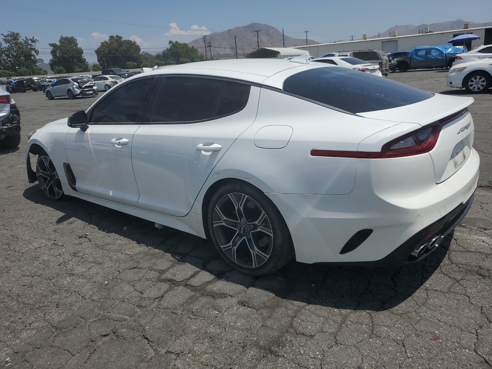 KNAE15LA5M6088404 2021 Kia Stinger