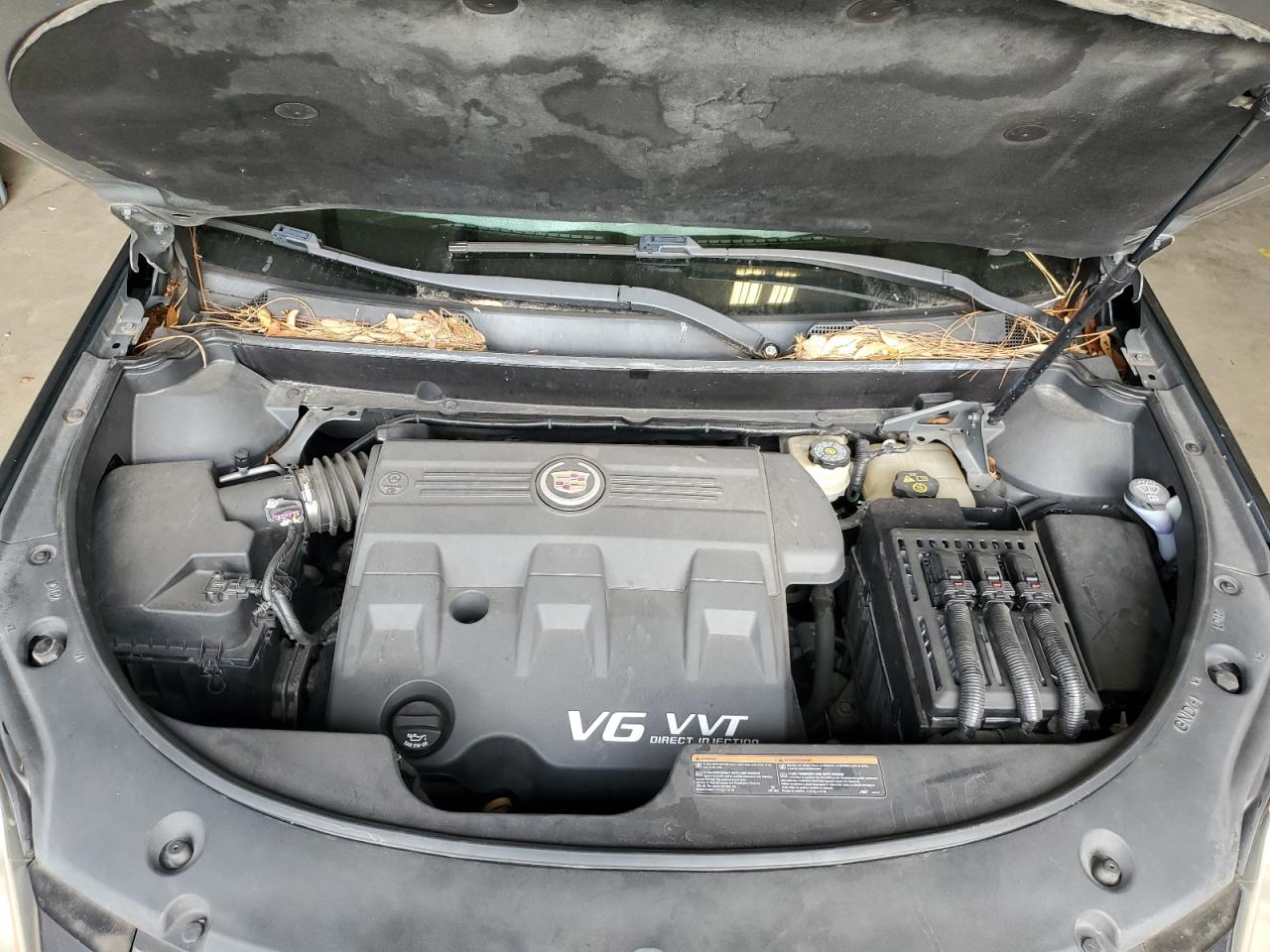 2011 Cadillac Srx Performance Collection VIN: 3GYFNBEY7BS519624 Lot: 63453304