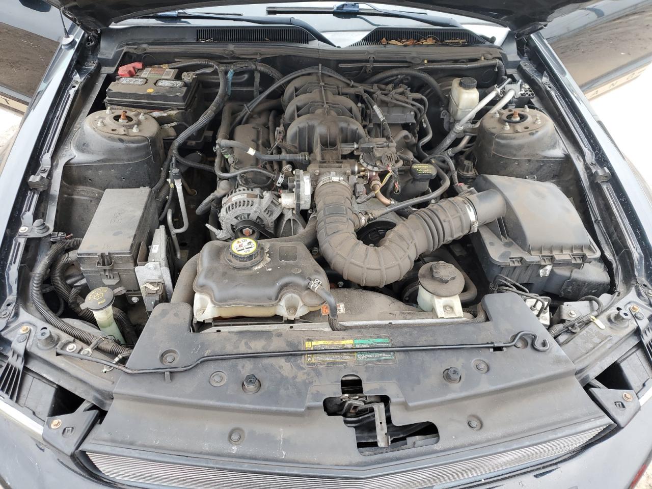 2009 Ford Mustang VIN: 1ZVHT84N395133699 Lot: 62850884