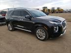 2020 Hyundai Palisade Limited zu verkaufen in Brighton, CO - Hail