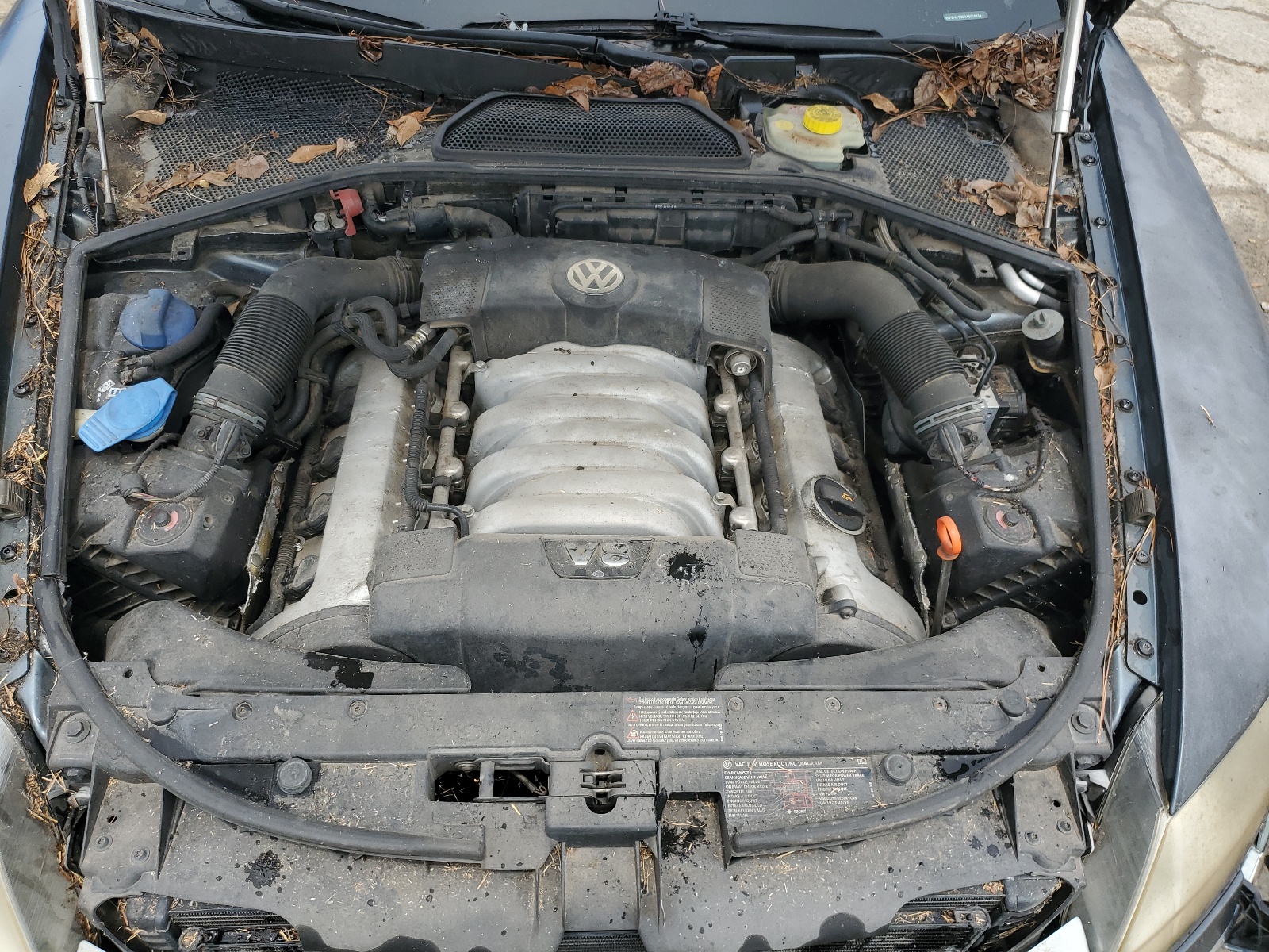 WVWAF63D848008939 2004 Volkswagen Phaeton 4.2